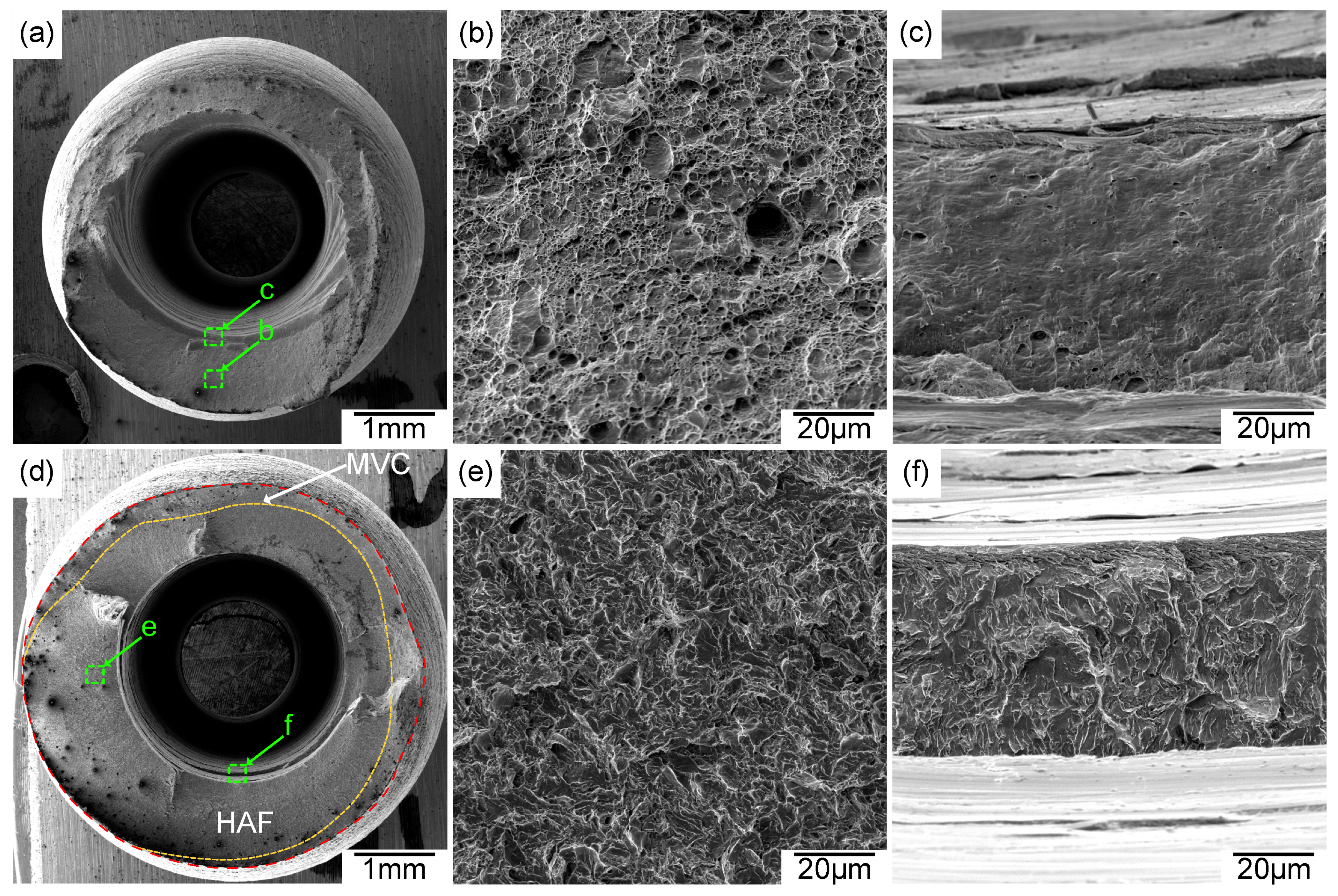 Metals 14 01132 g009