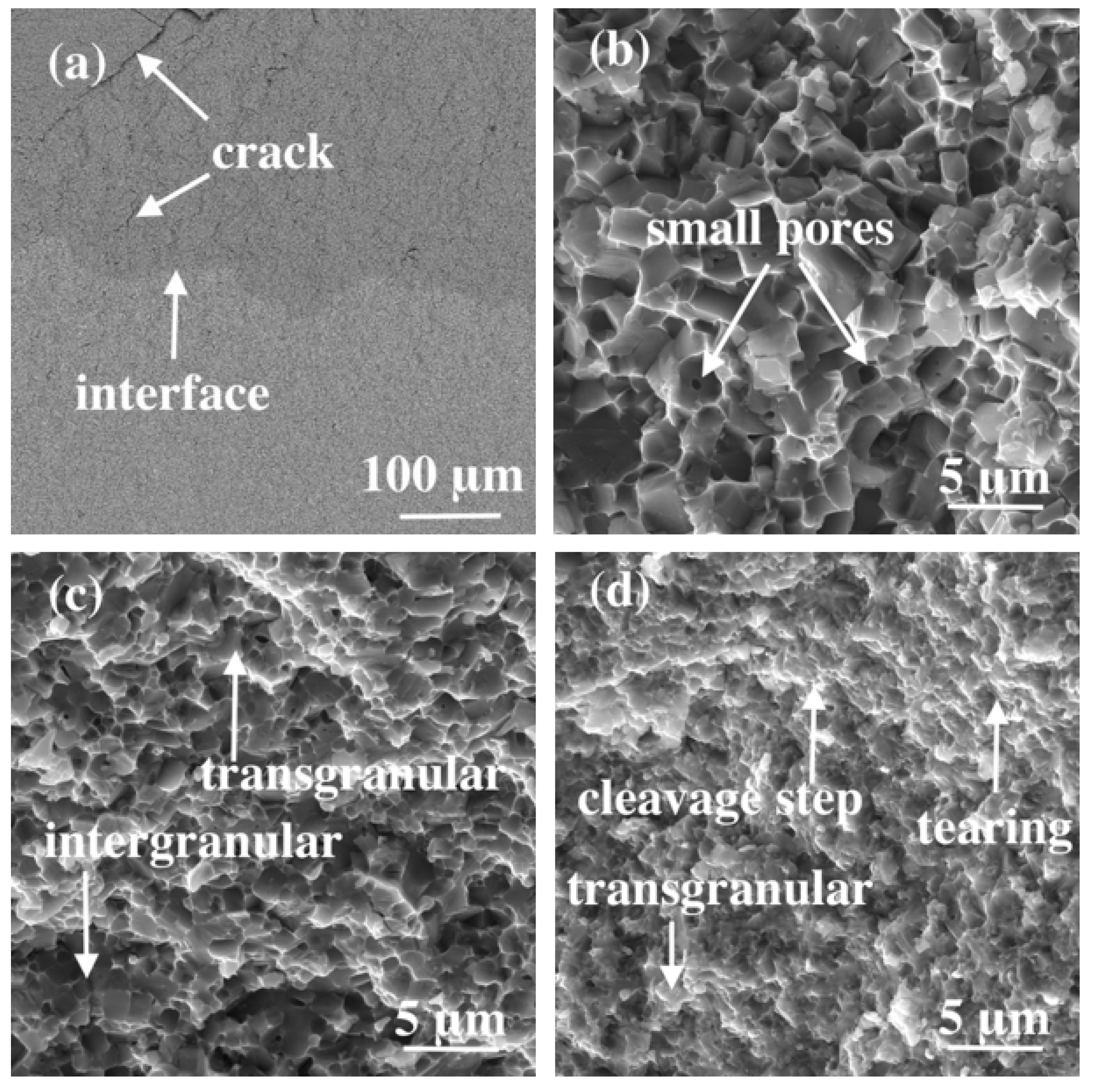 Metals 14 01161 g009