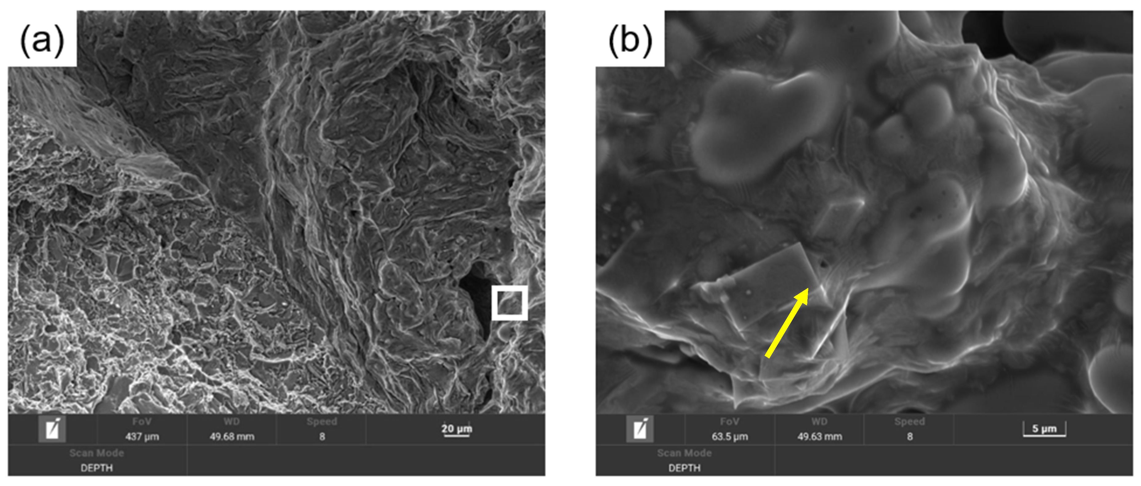 Metals 14 01175 g004