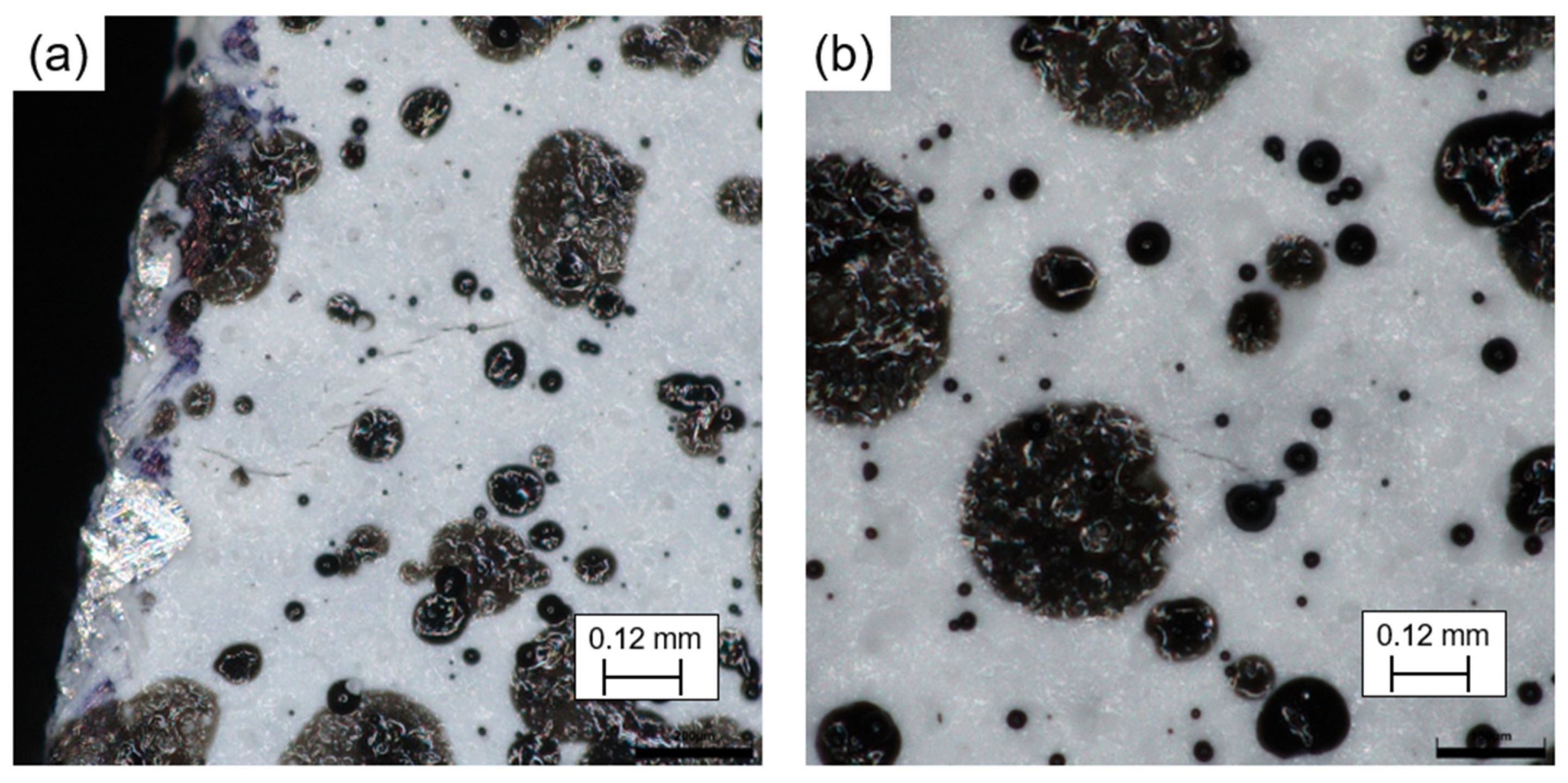 Metals 14 01175 g011