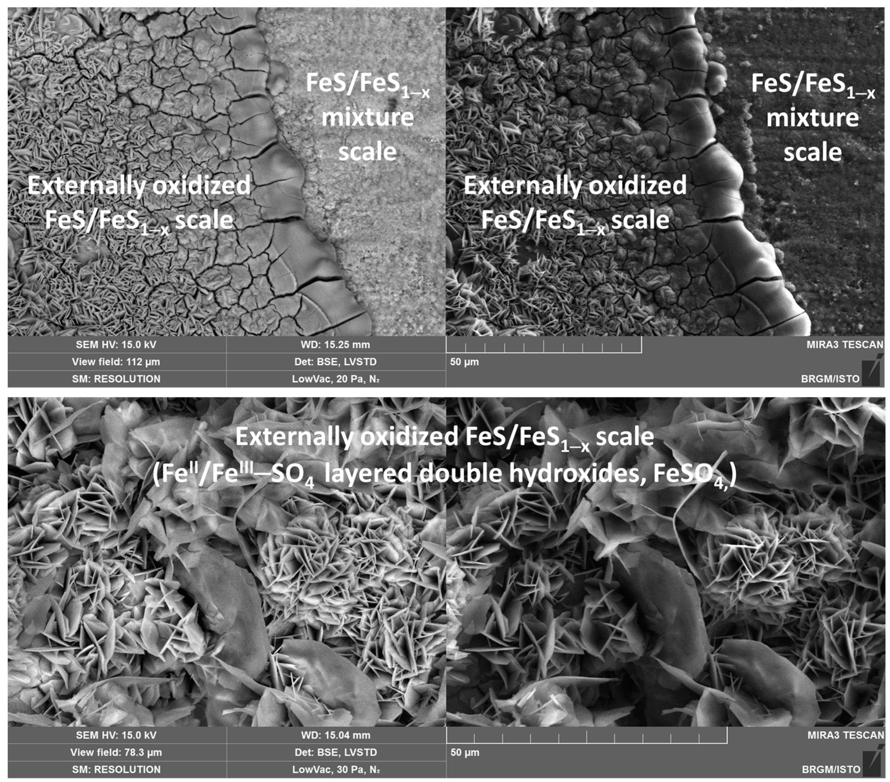 Metals 14 01216 g011
