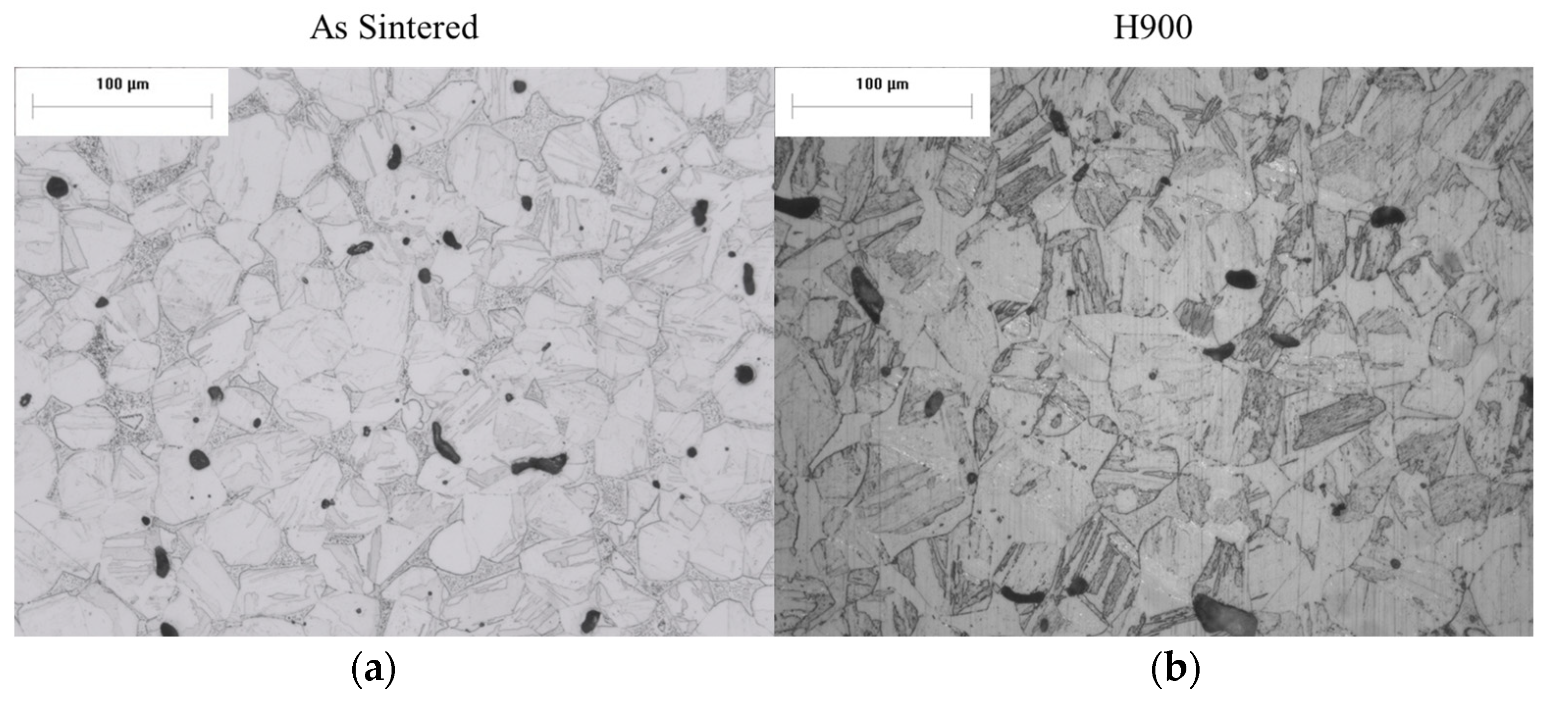 Metals 14 01220 g010