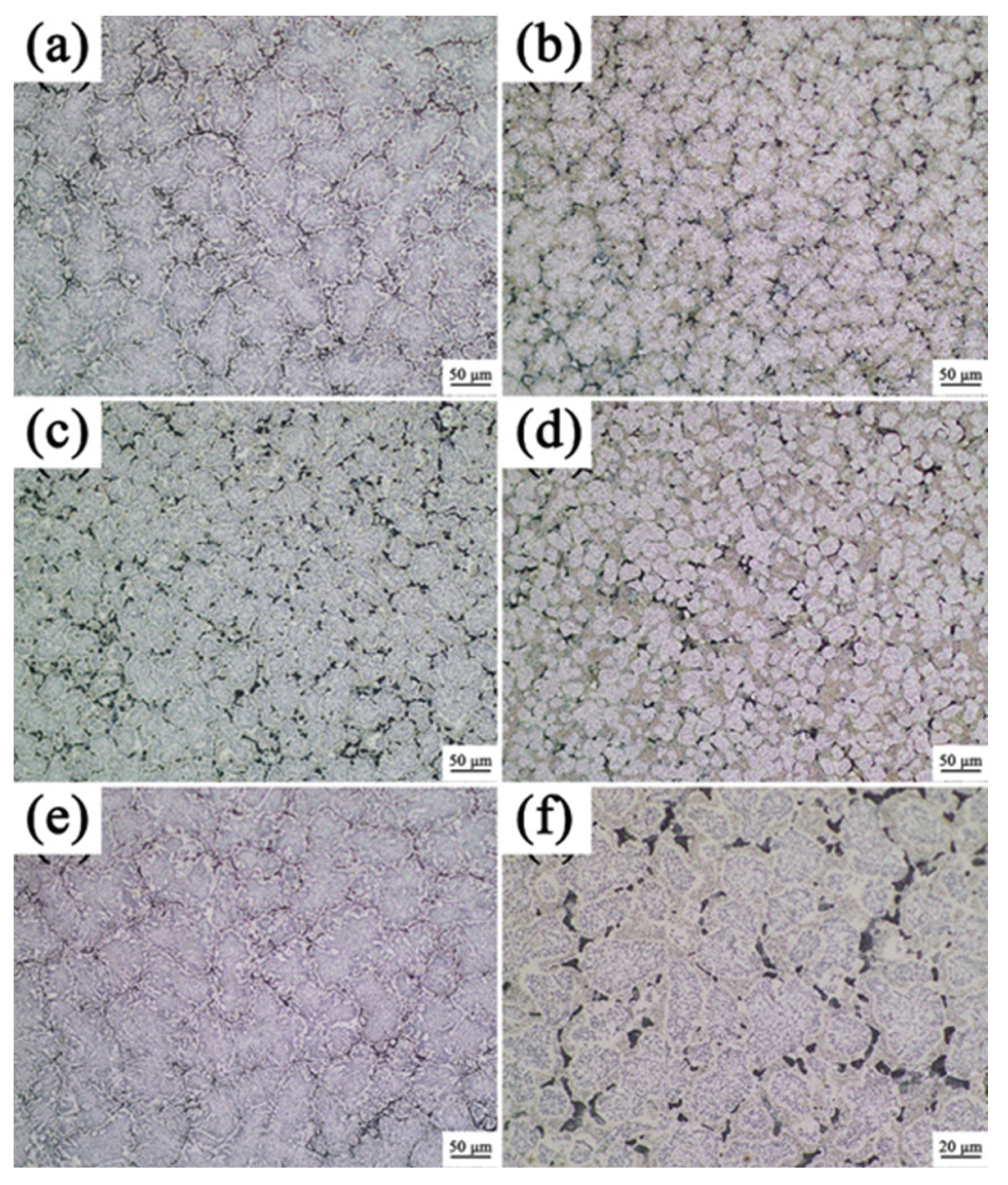 Metals 14 01223 g003