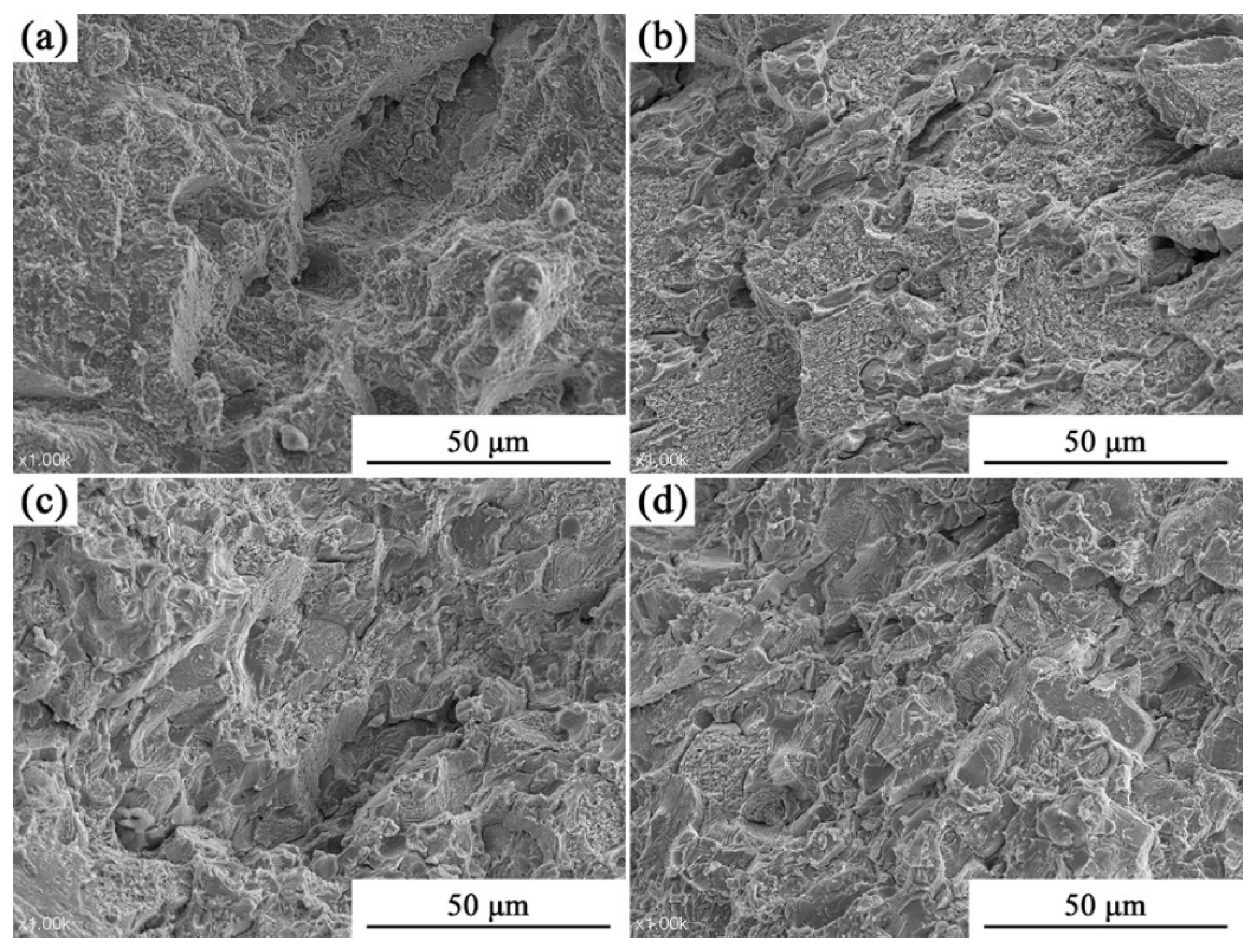 Metals 14 01223 g011