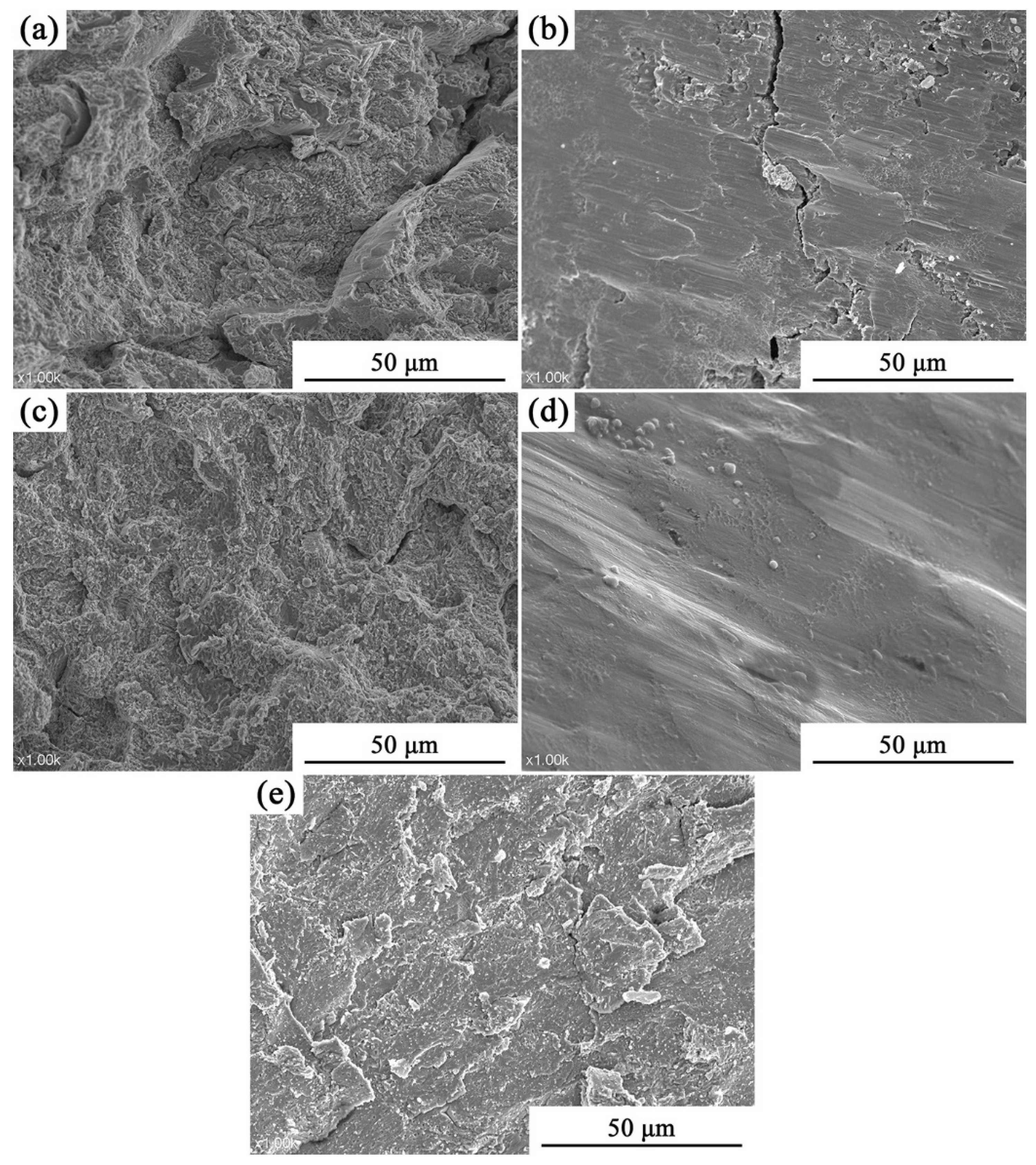 Metals 14 01223 g013