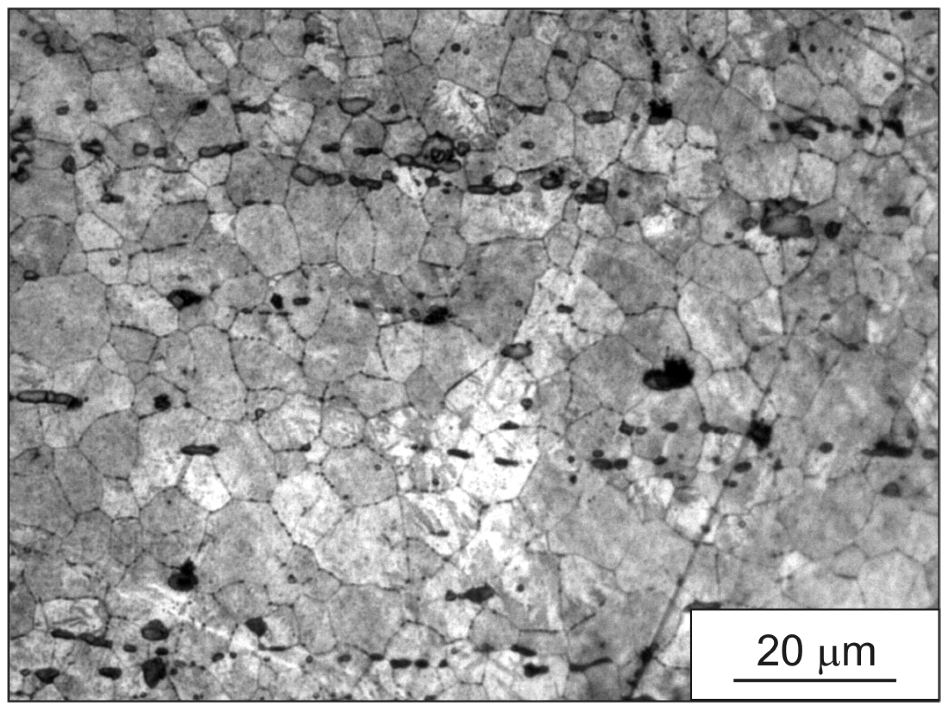 Metals 14 01249 g009