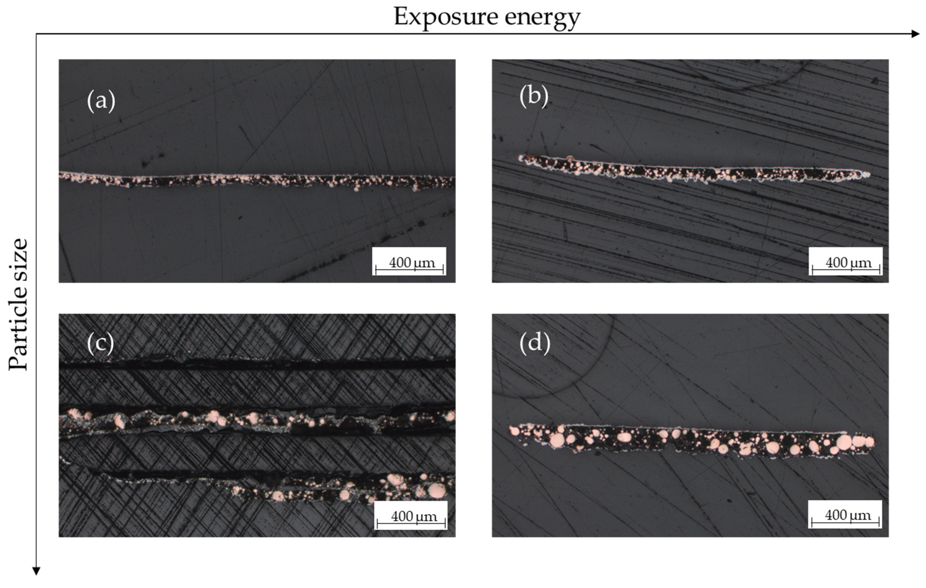 Metals 14 01268 g006