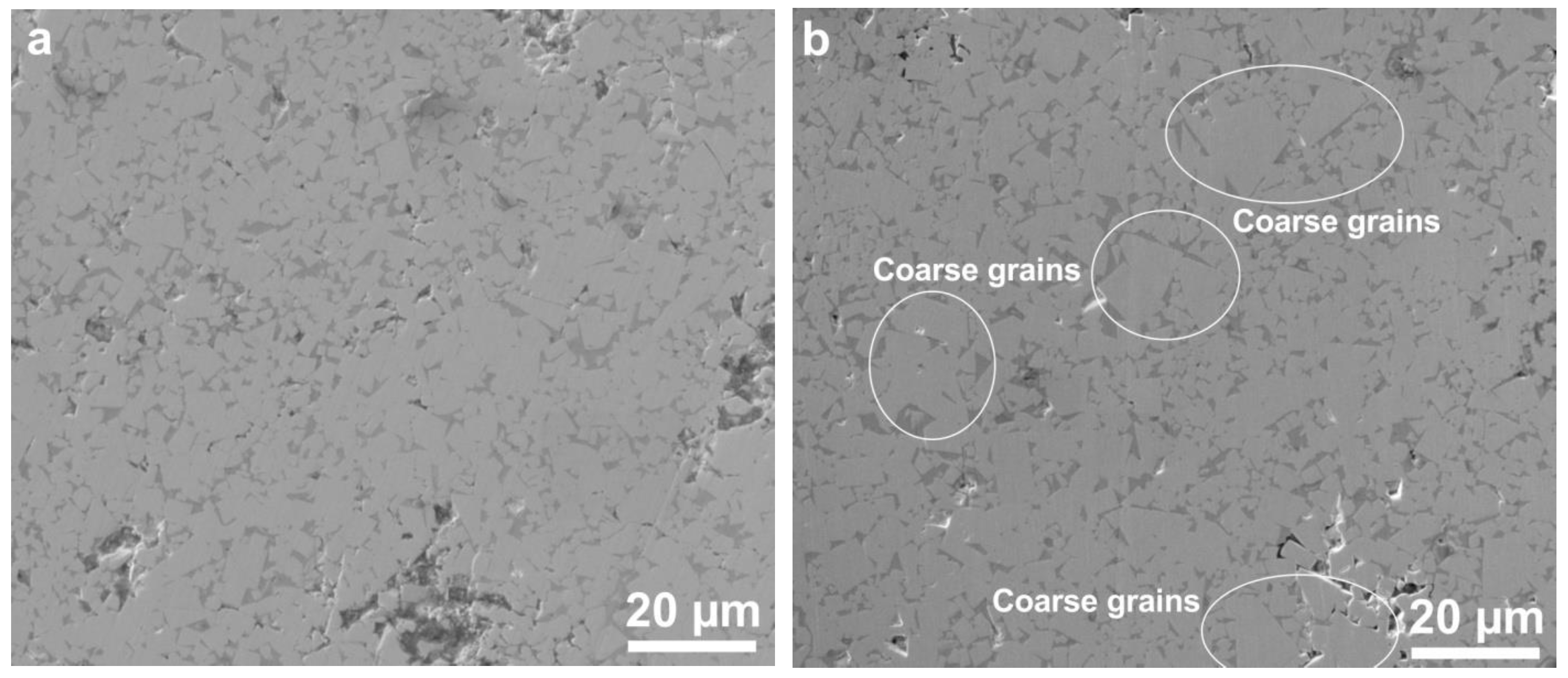 Metals 14 01308 g007