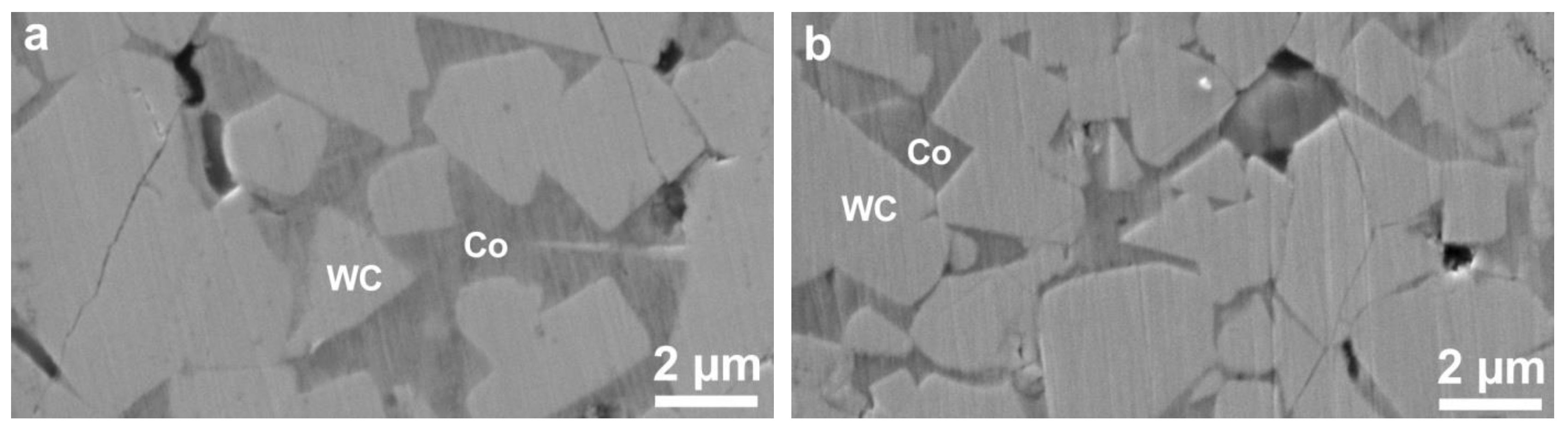 Metals 14 01308 g009