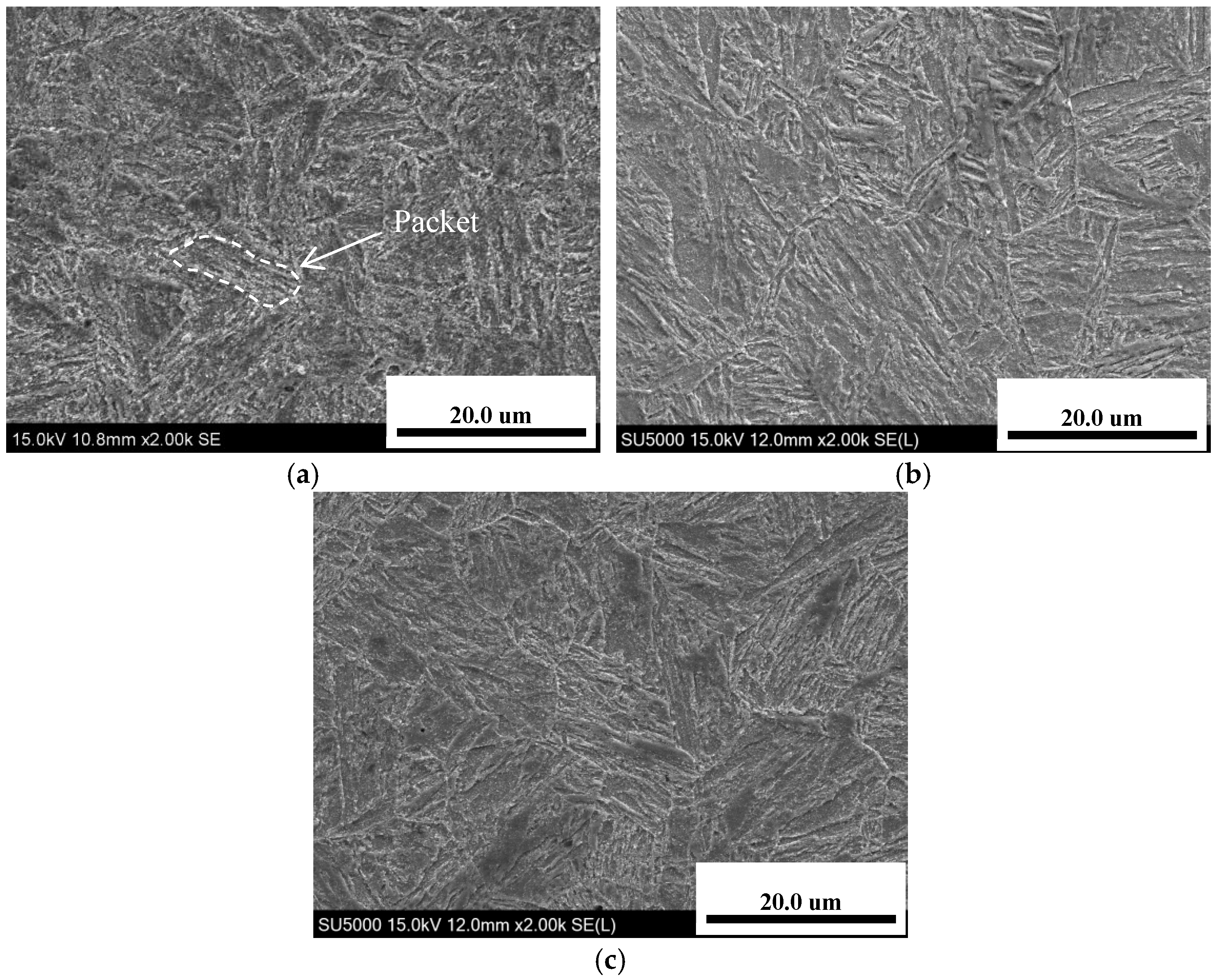 Metals 14 01309 g003