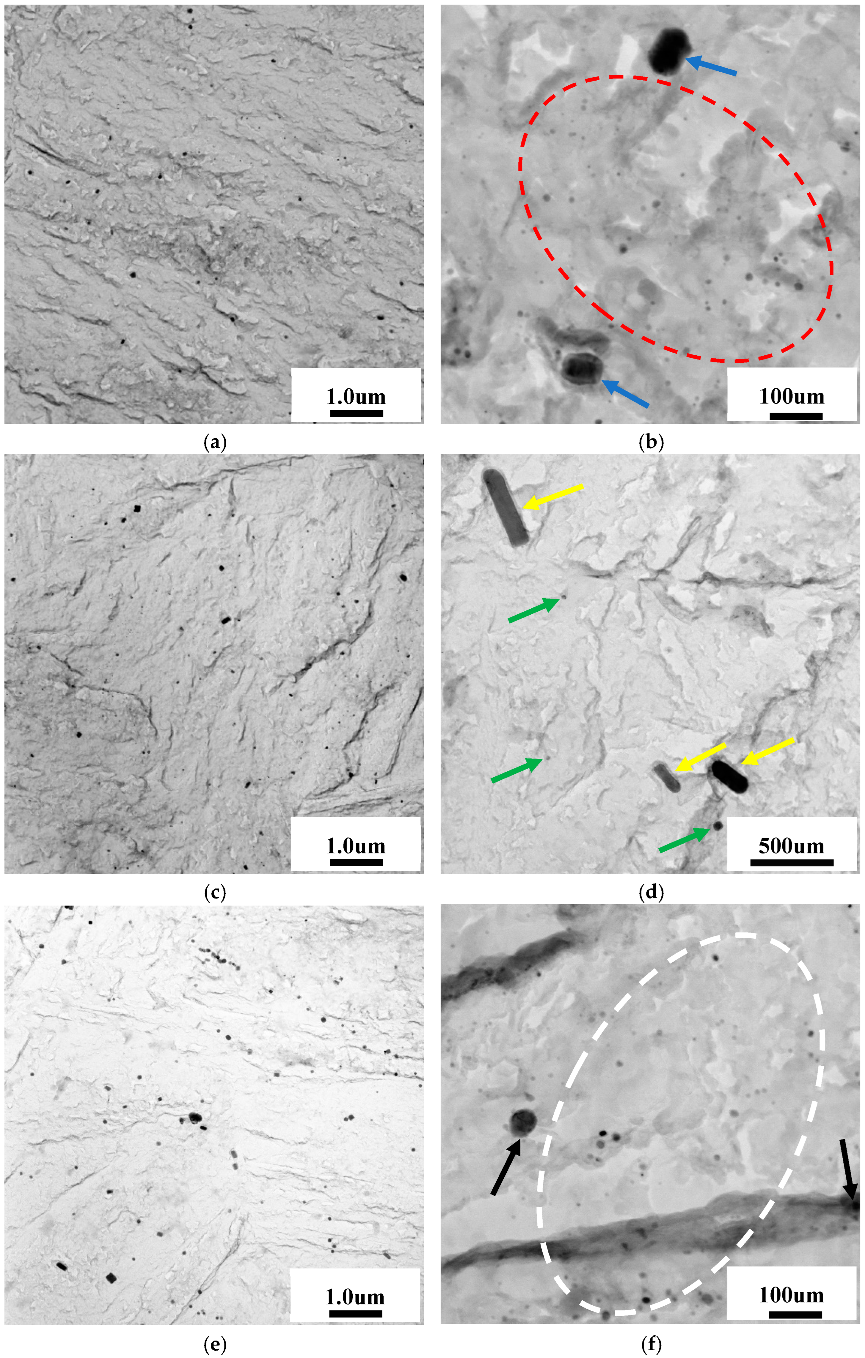 Metals 14 01309 g005a