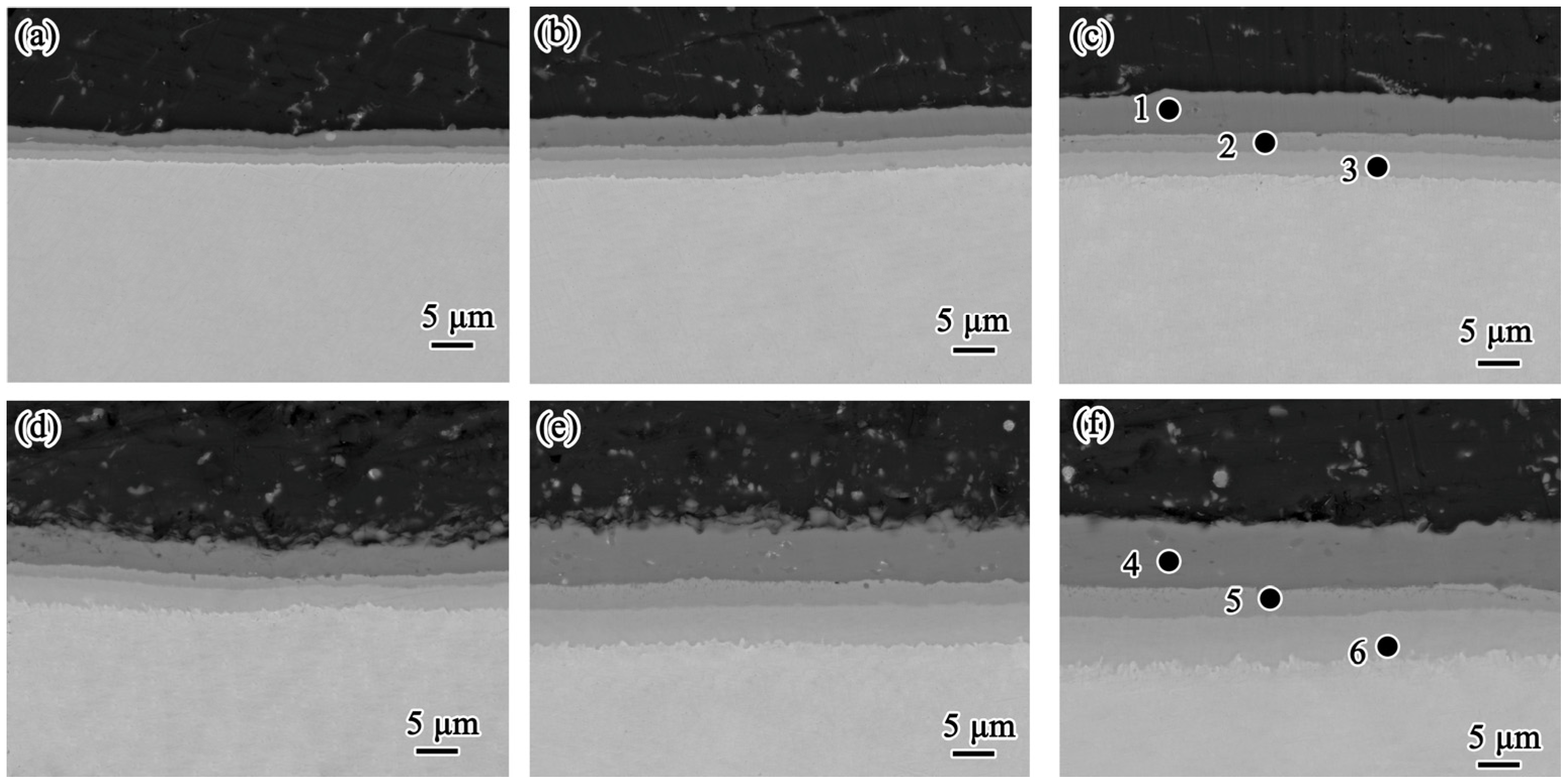 Metals 14 01330 g004