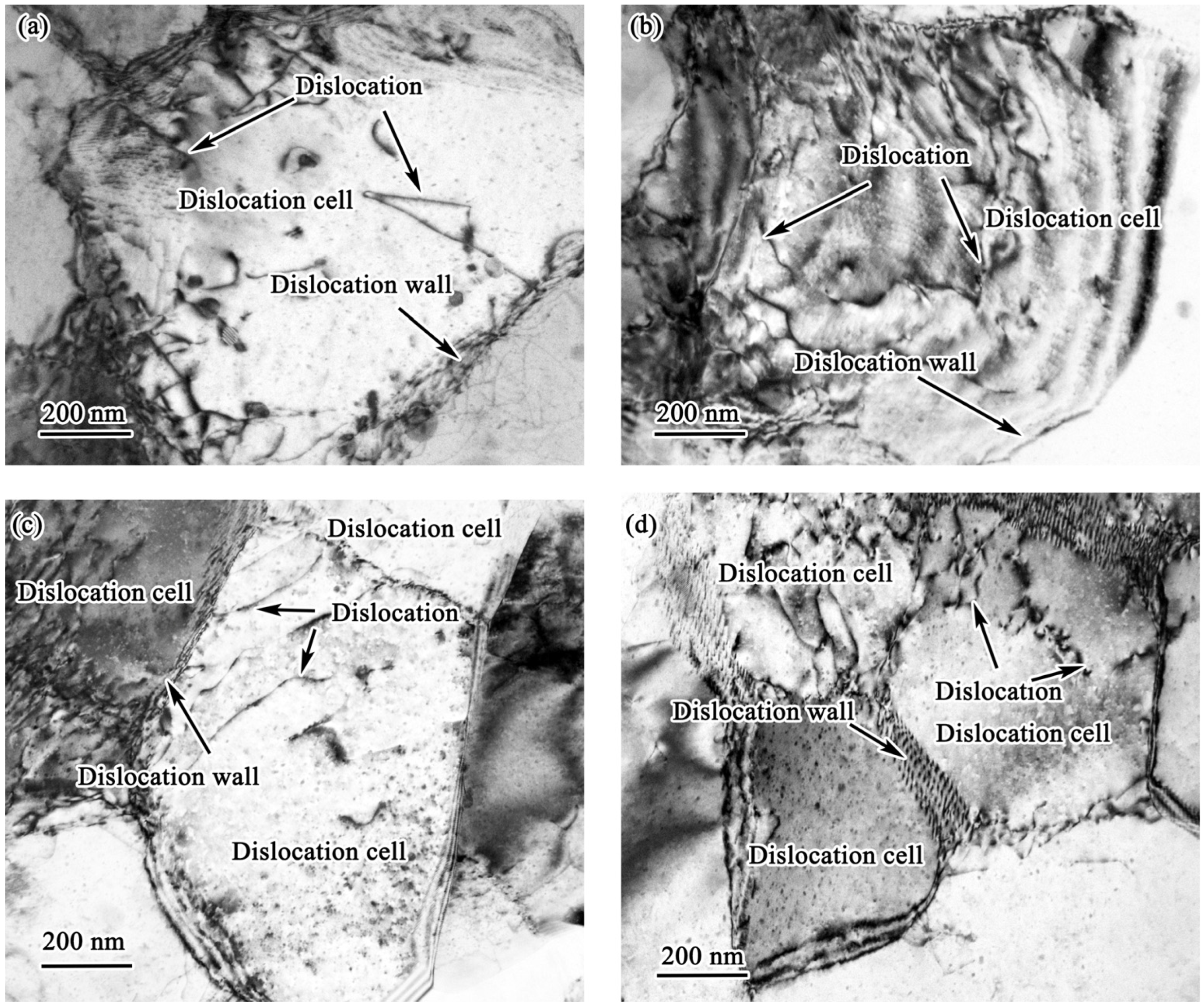 Metals 14 01330 g007