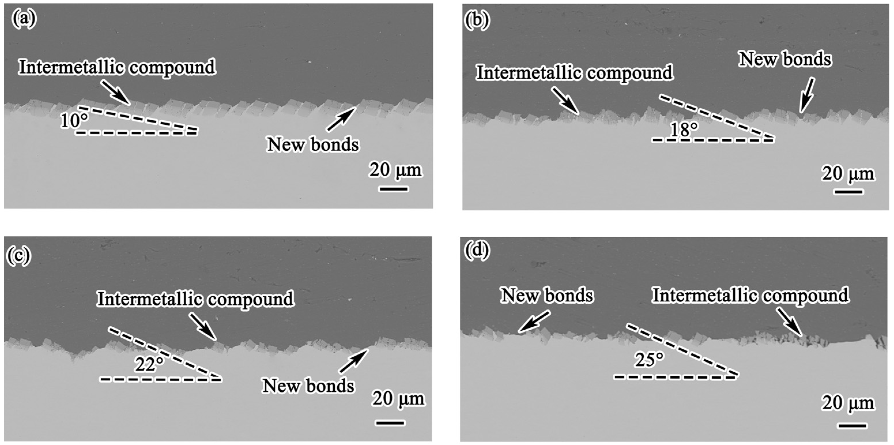 Metals 14 01330 g009