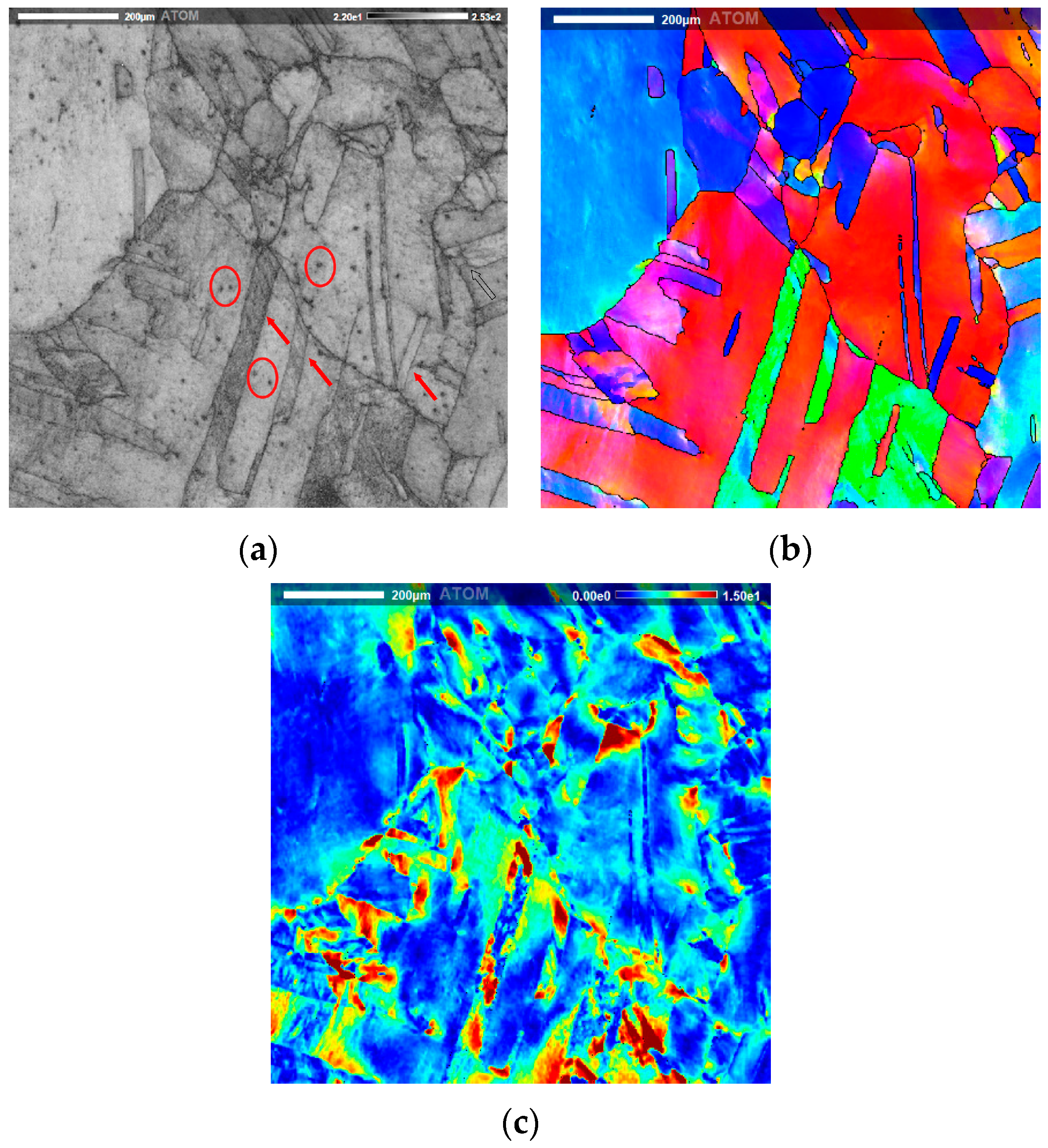 Metals 14 01331 g004 Metals 14 01331 g004