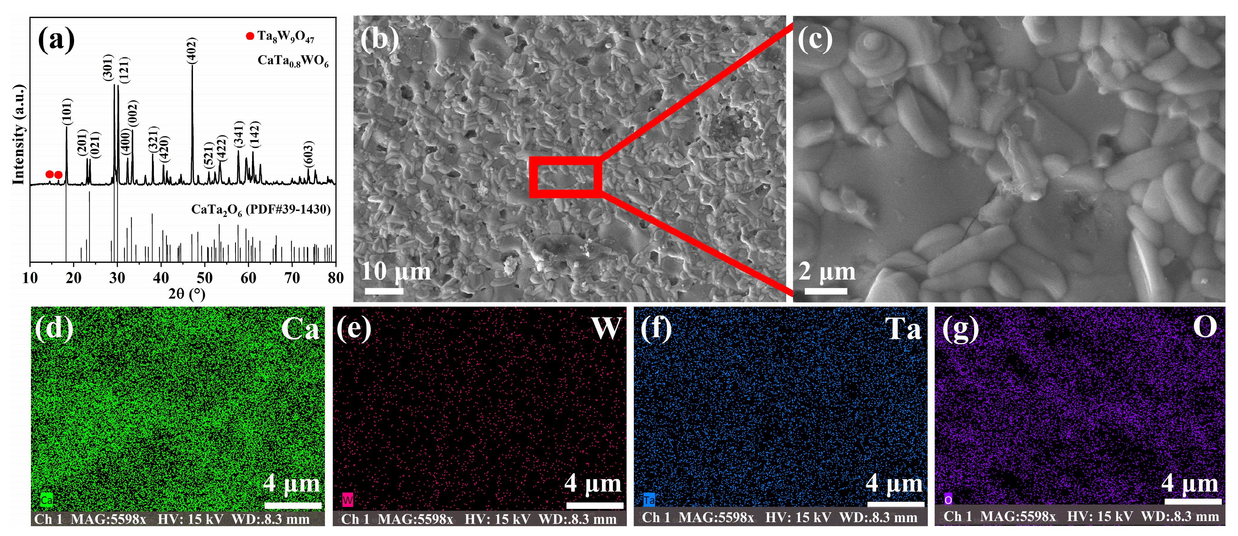 Metals 14 01368 g001