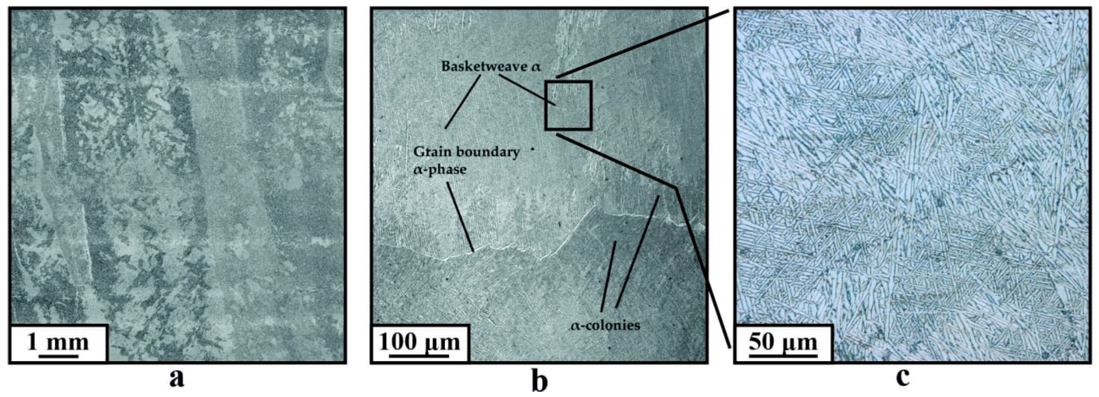 Metals 14 01379 g003