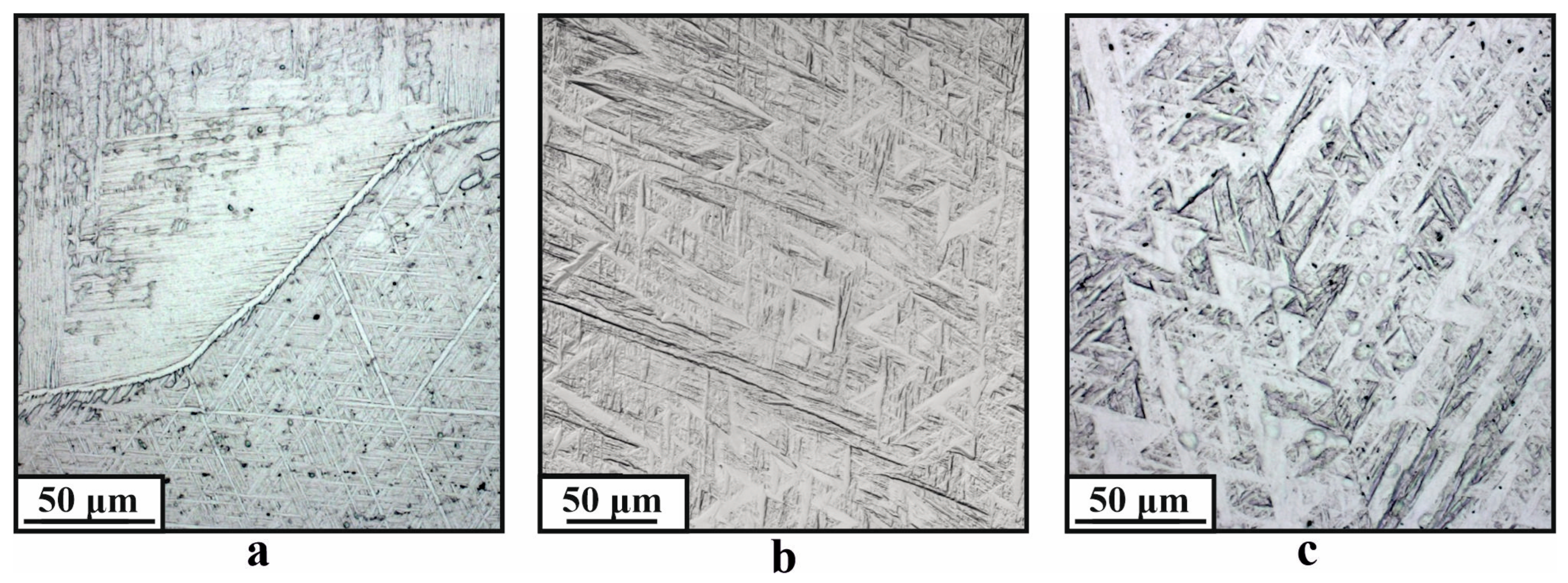 Metals 14 01379 g005