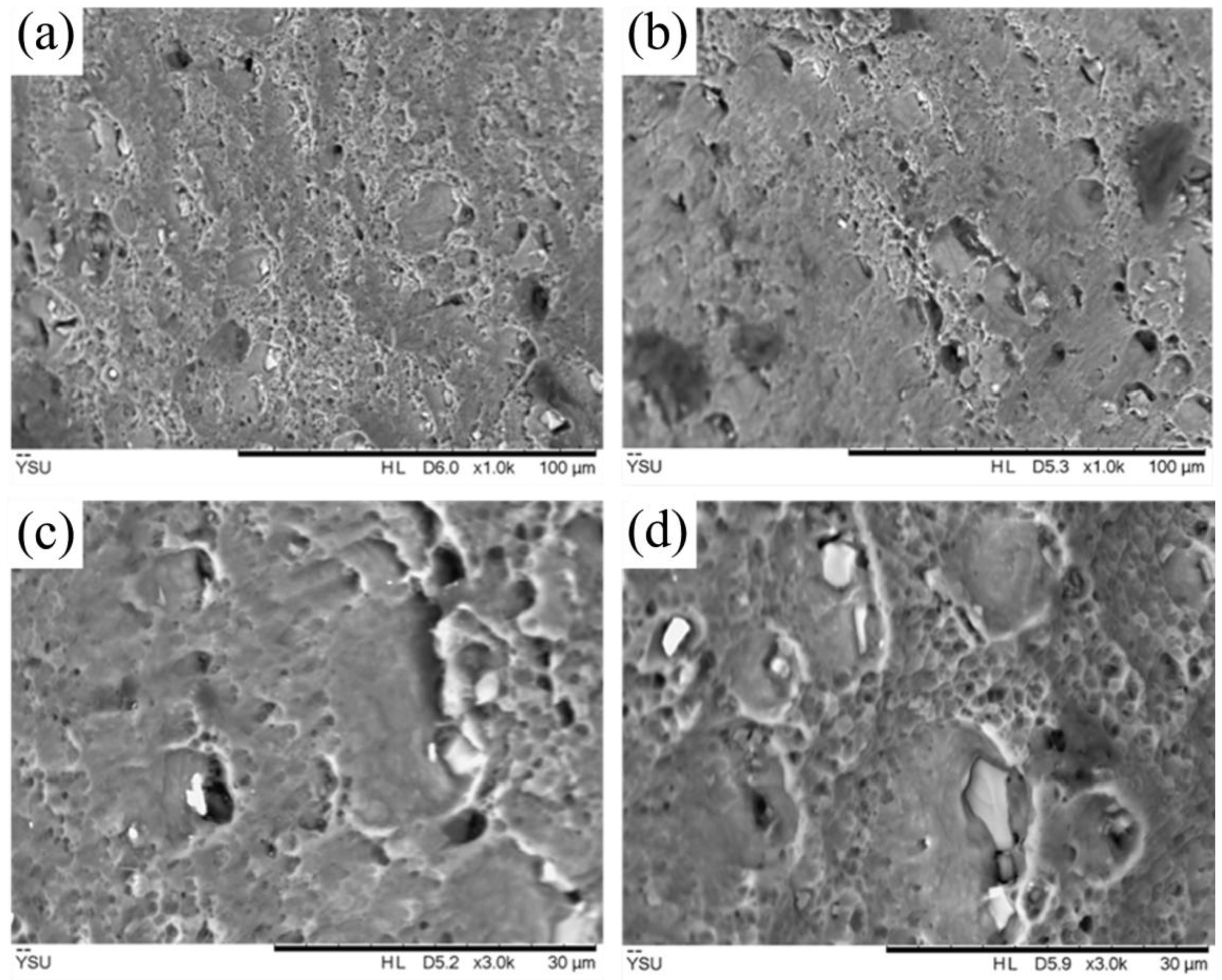 Metals 14 01382 g006