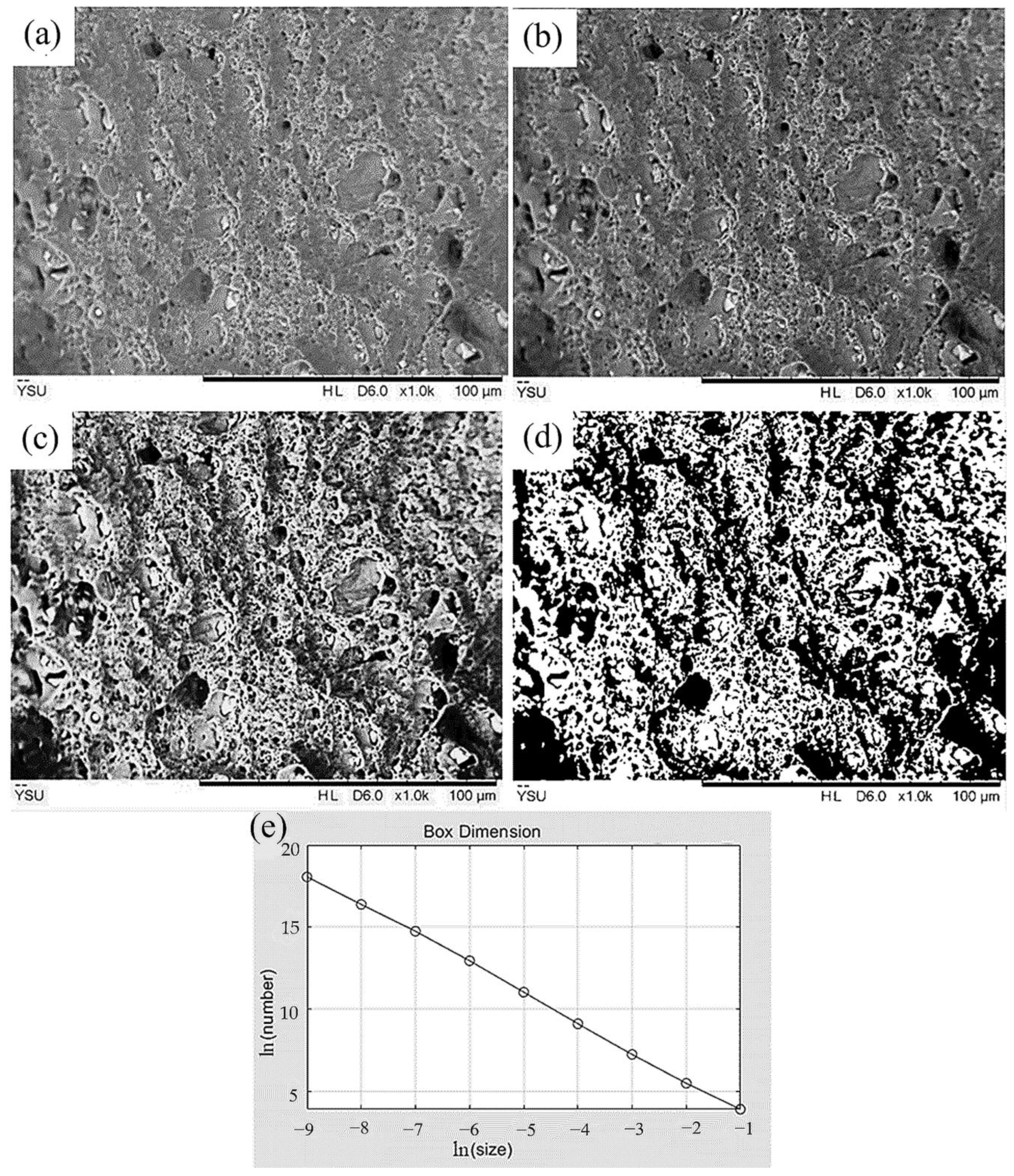 Metals 14 01382 g010