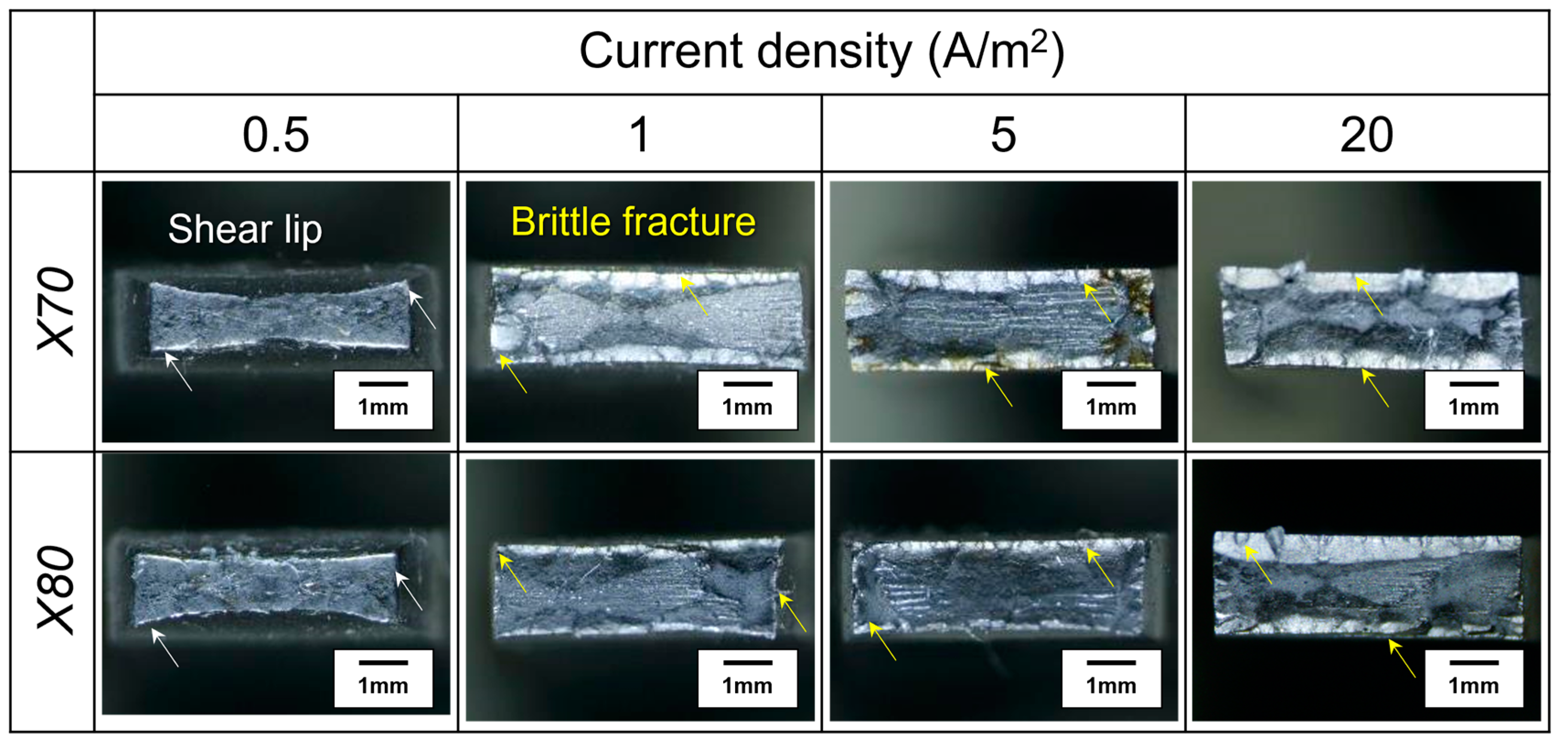Metals 14 01397 g005