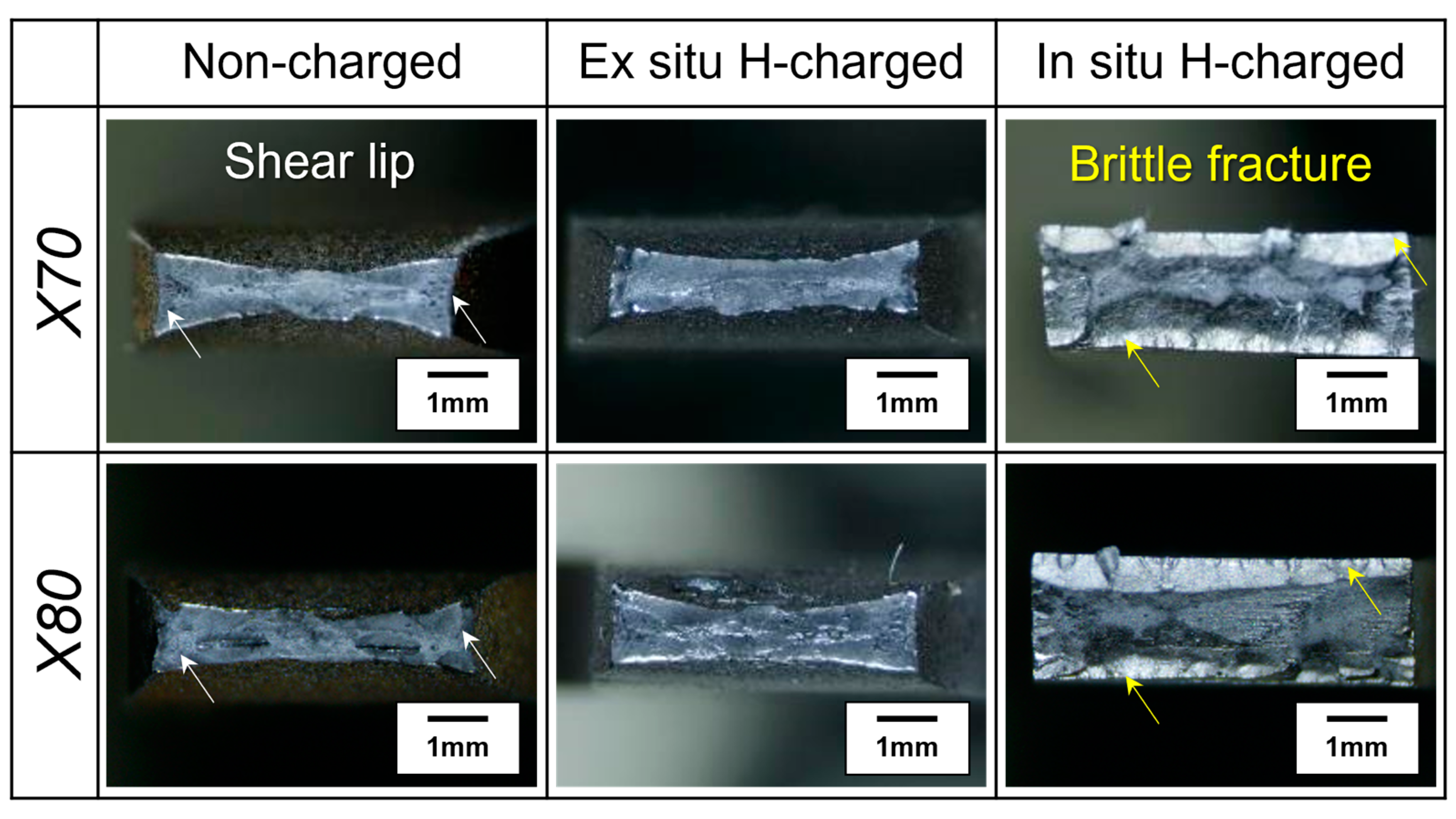 Metals 14 01397 g007