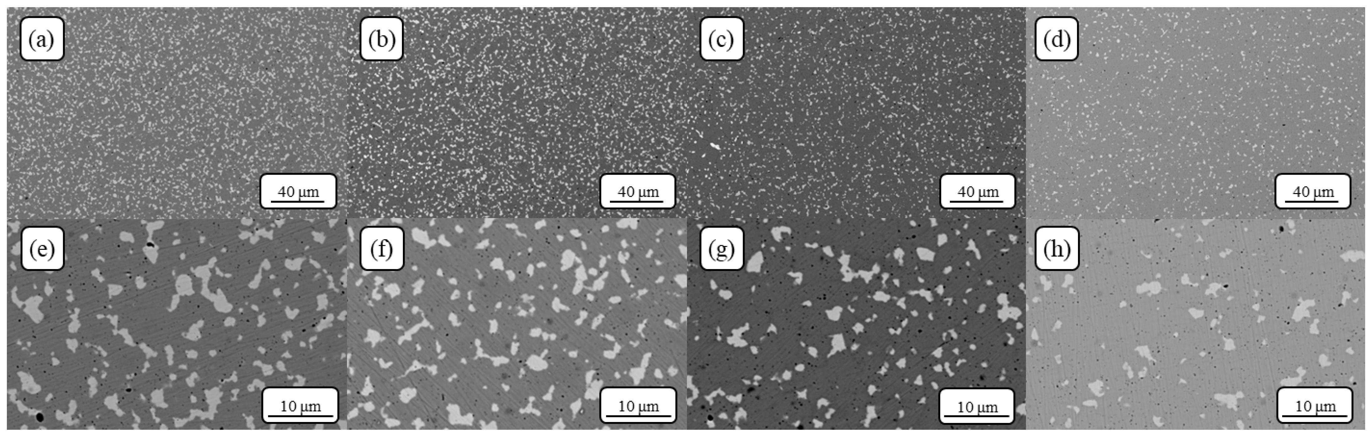 Metals 14 01400 g007