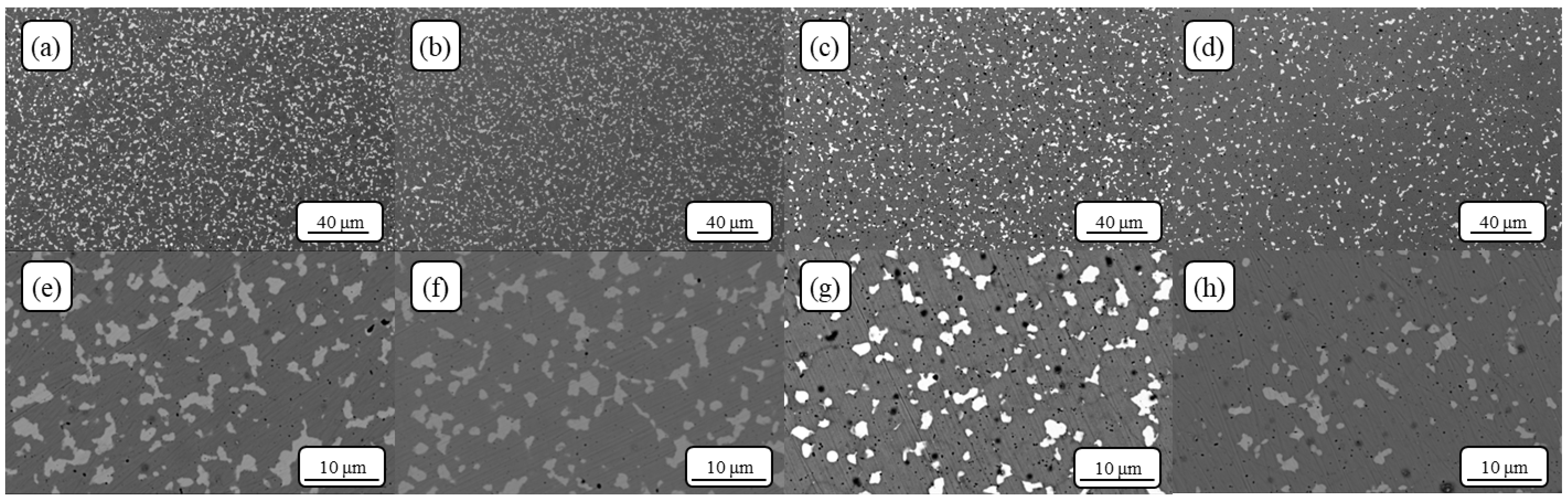 Metals 14 01400 g008