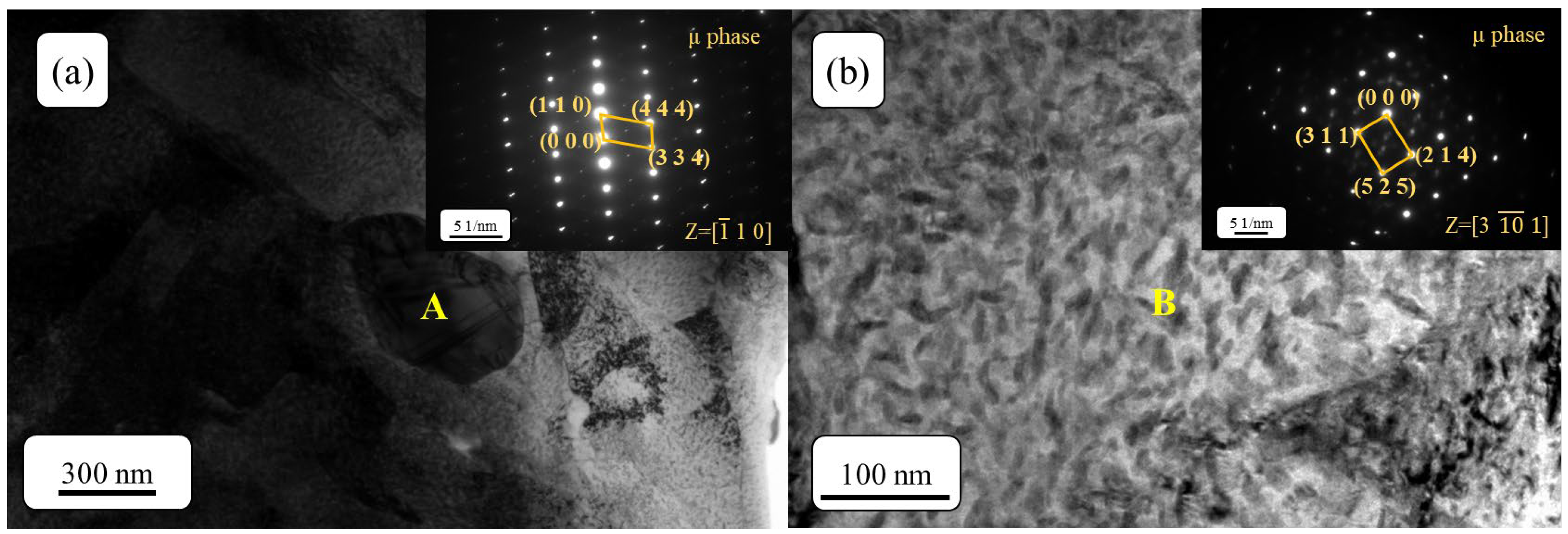 Metals 14 01400 g013