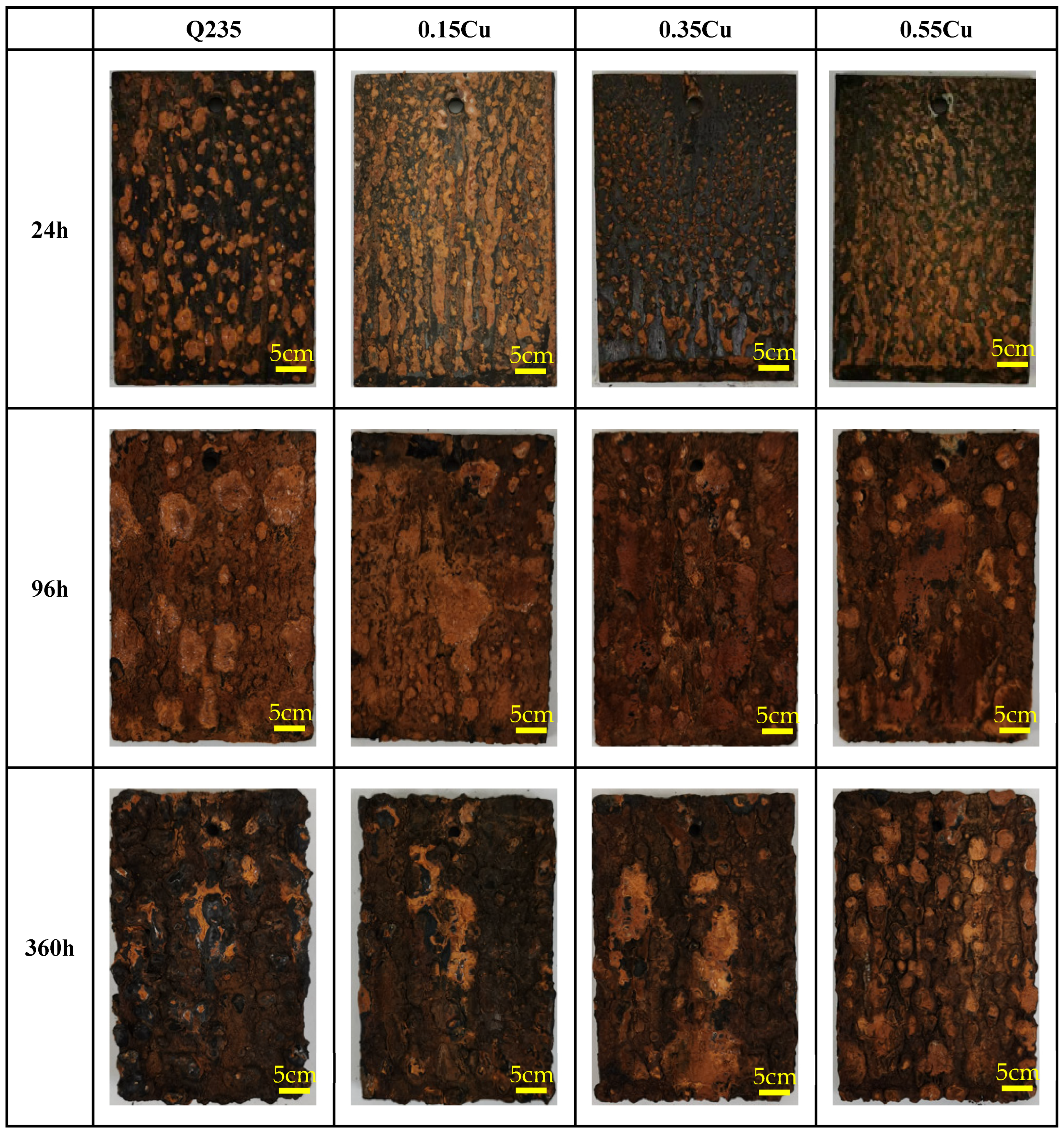 Metals 14 01401 g002