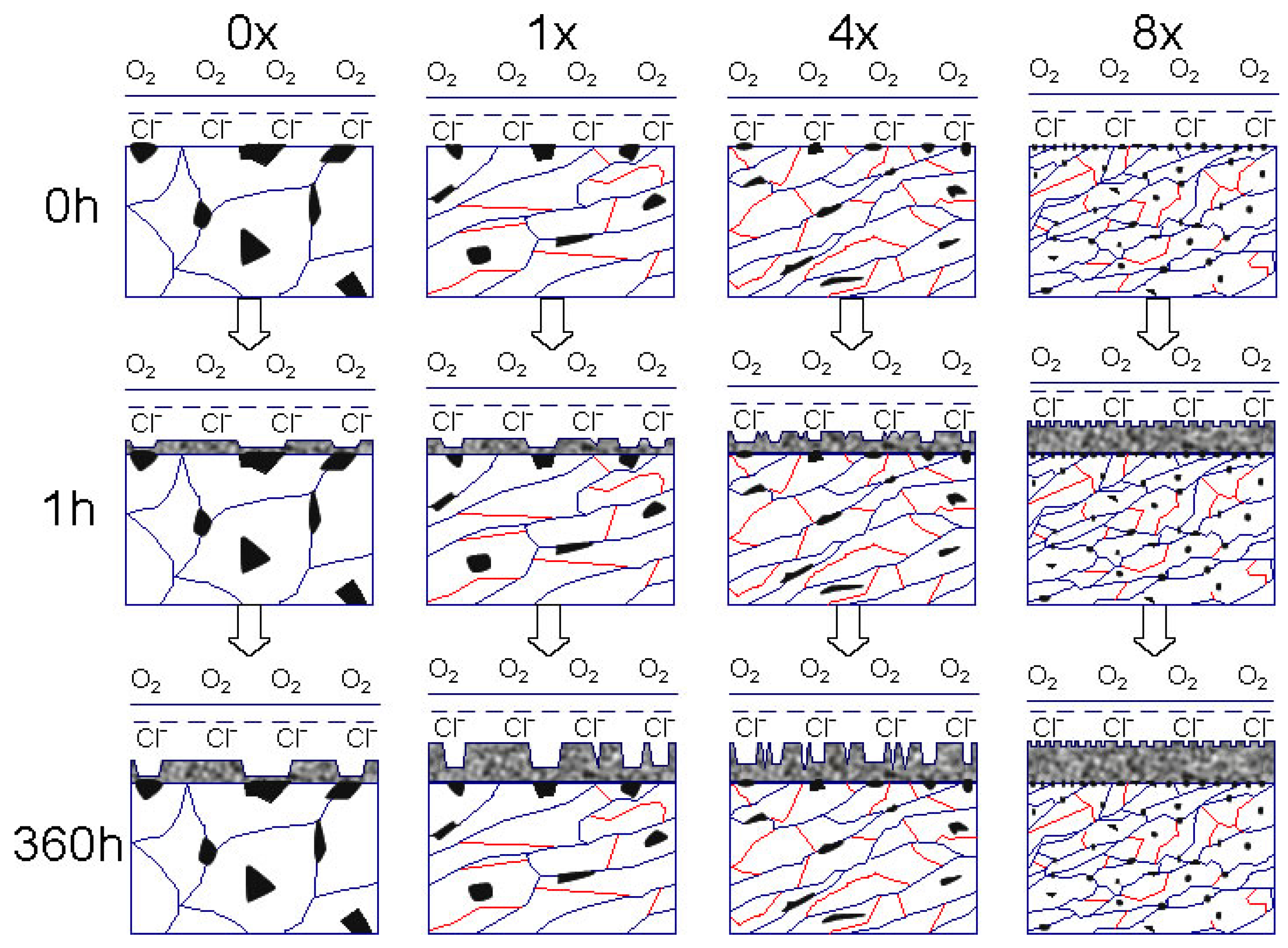 Metals 14 01417 g008