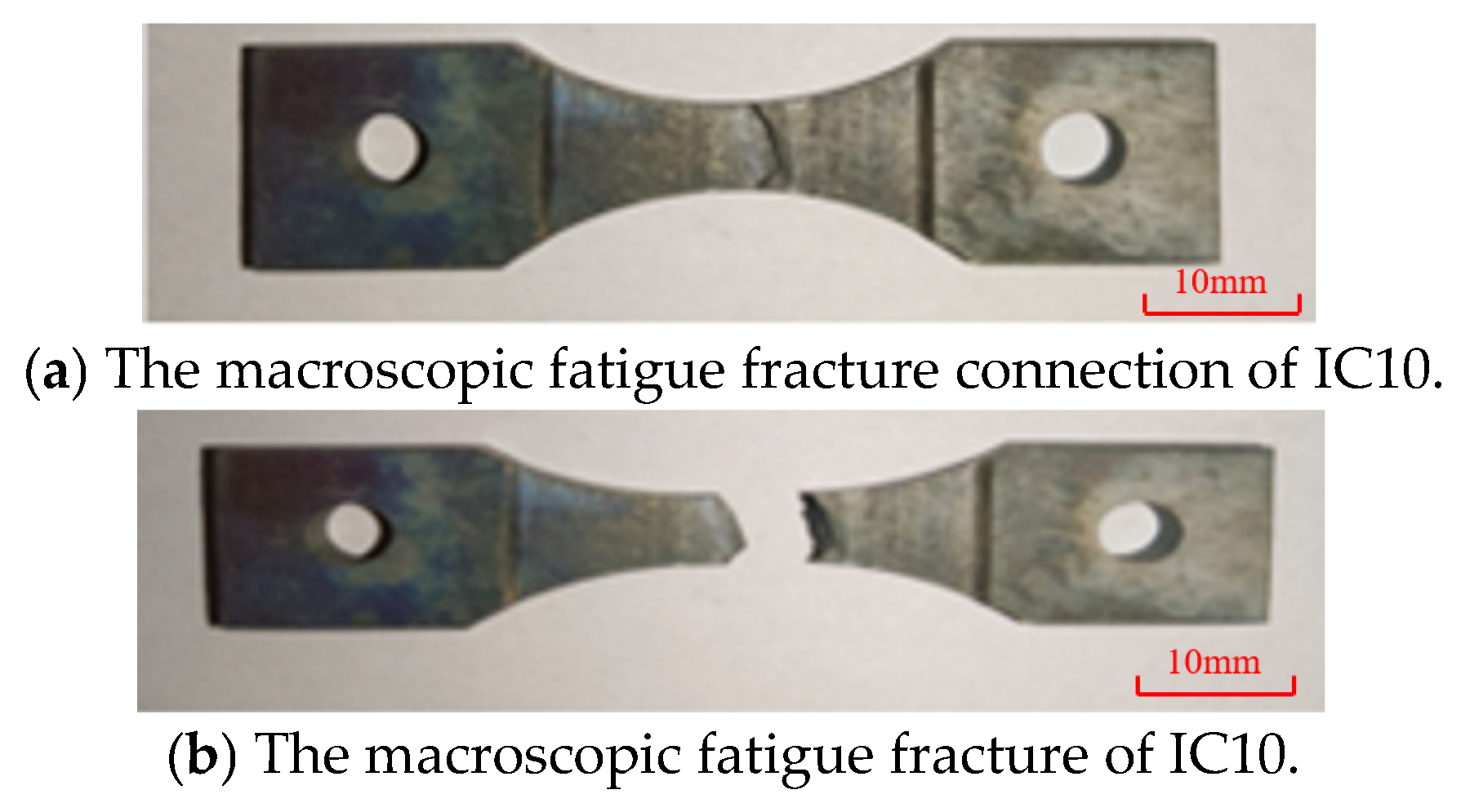 Metals 14 01440 g005