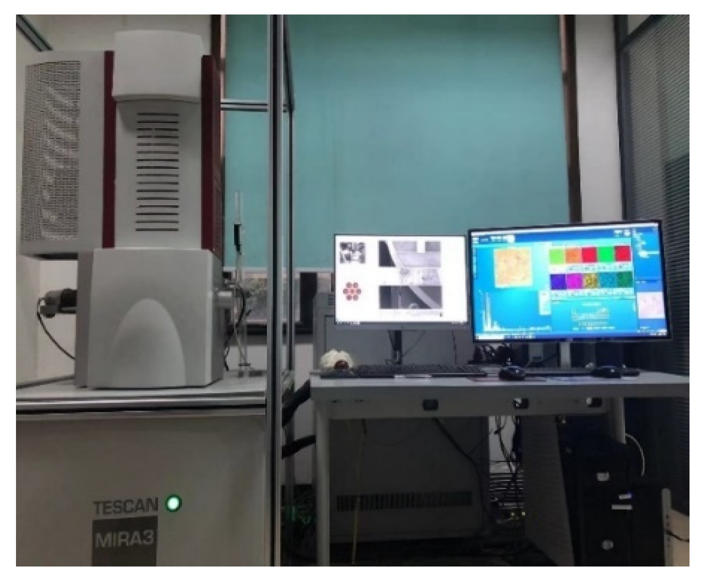 Metals 14 01440 g006