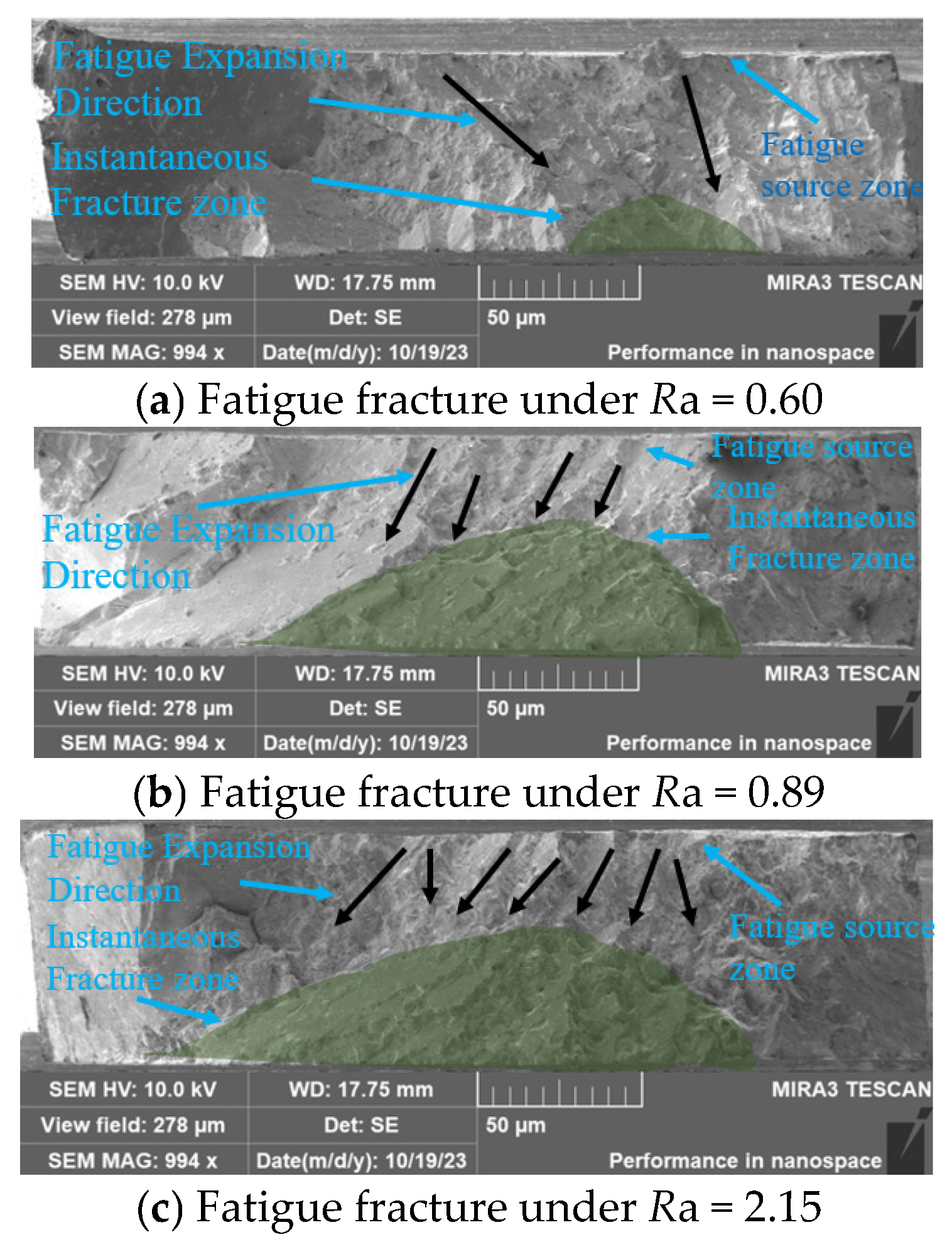 Metals 14 01440 g010