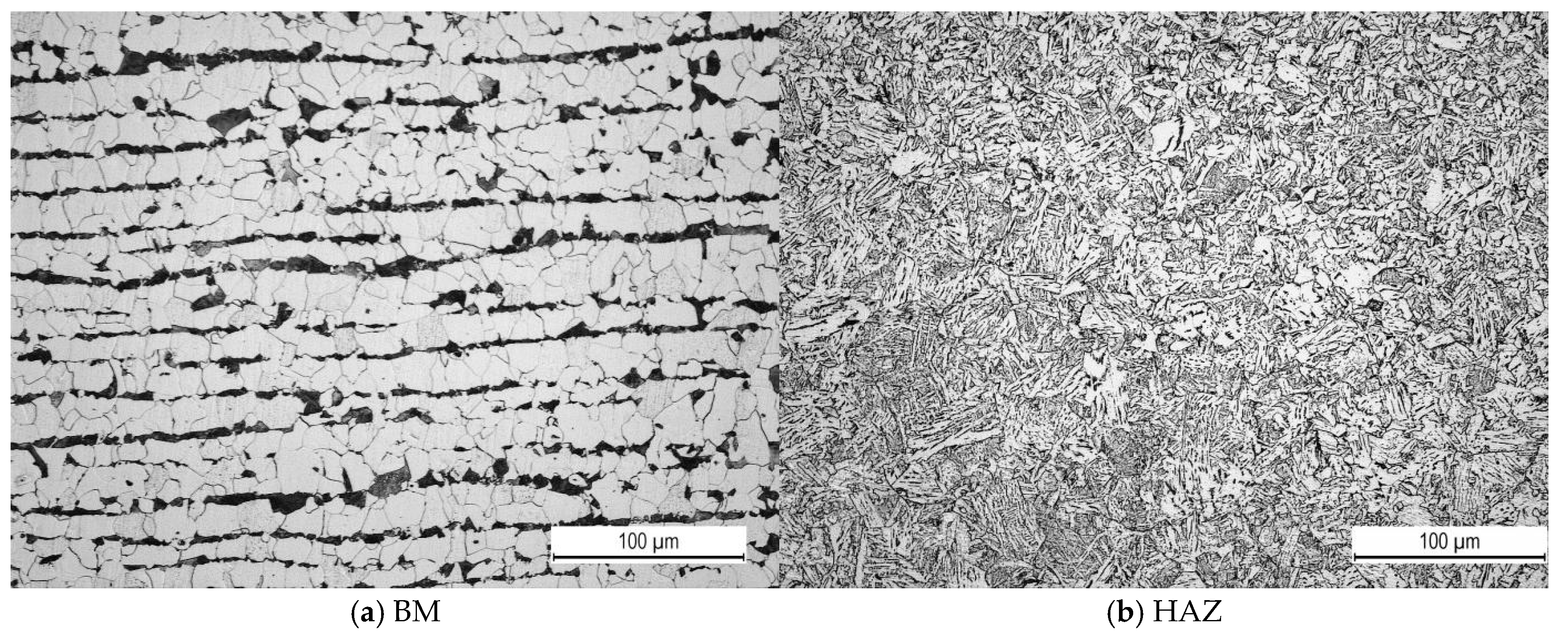 Metals 14 01447 g004a