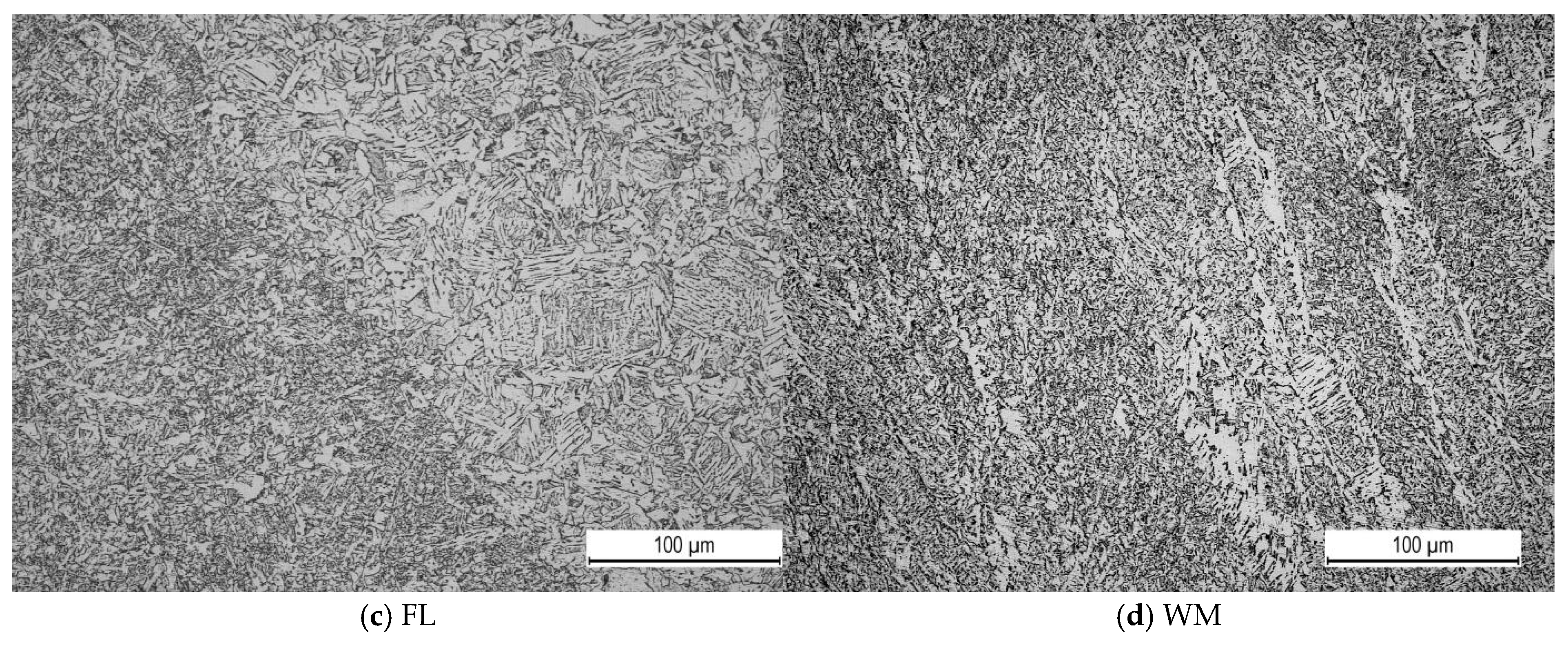 Metals 14 01447 g004b