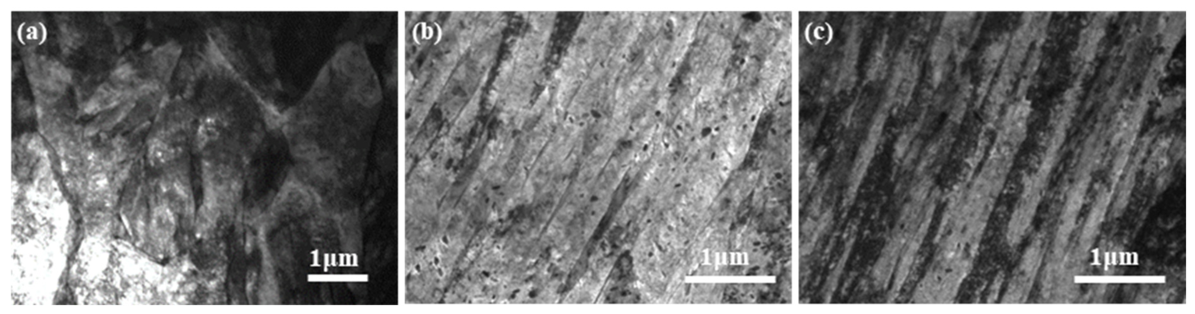 Metals 14 01455 g011