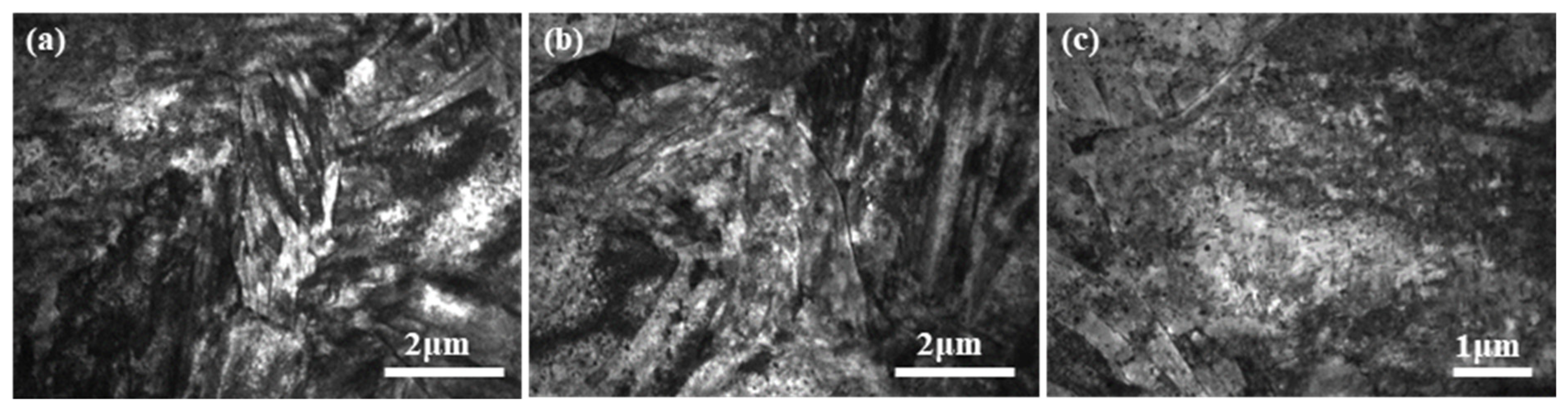 Metals 14 01455 g012