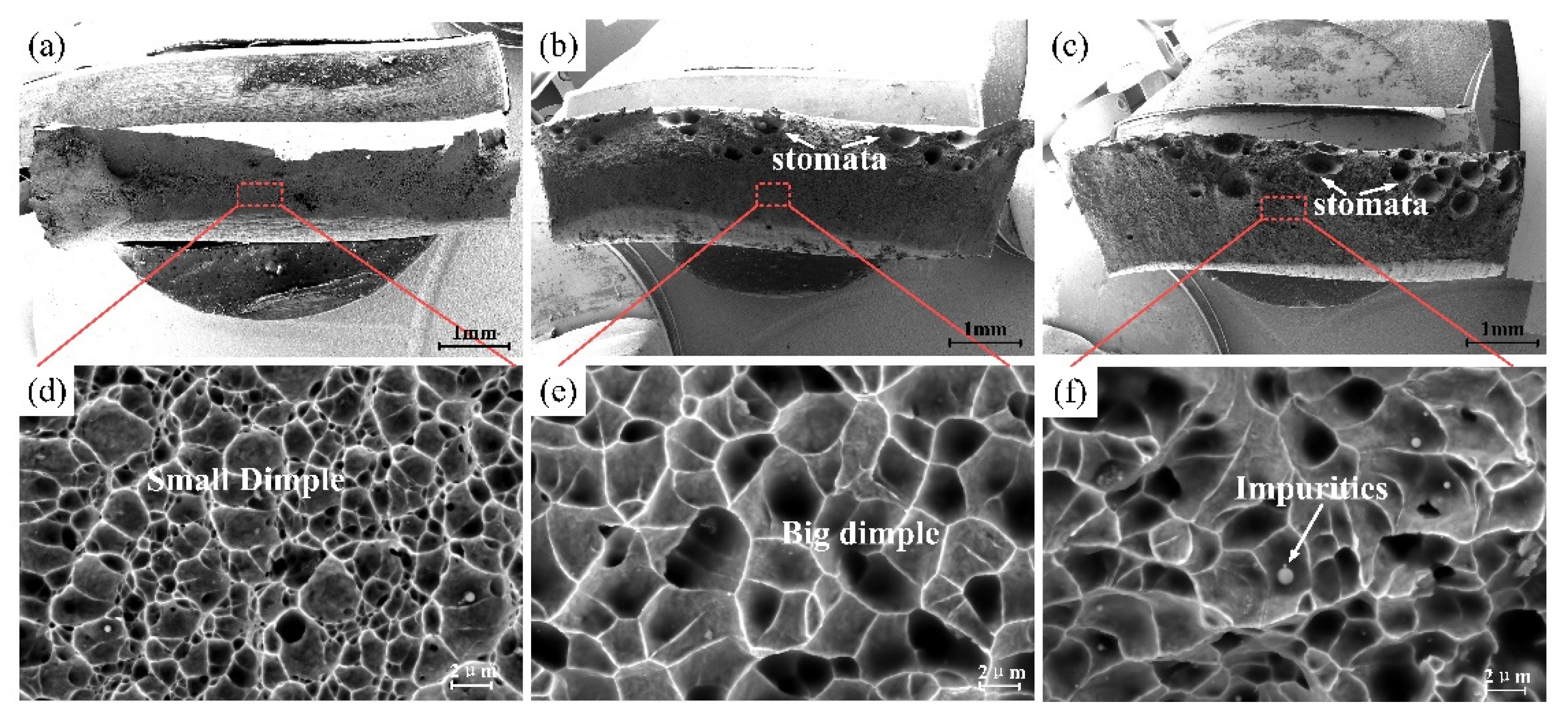 Metals 14 01469 g010