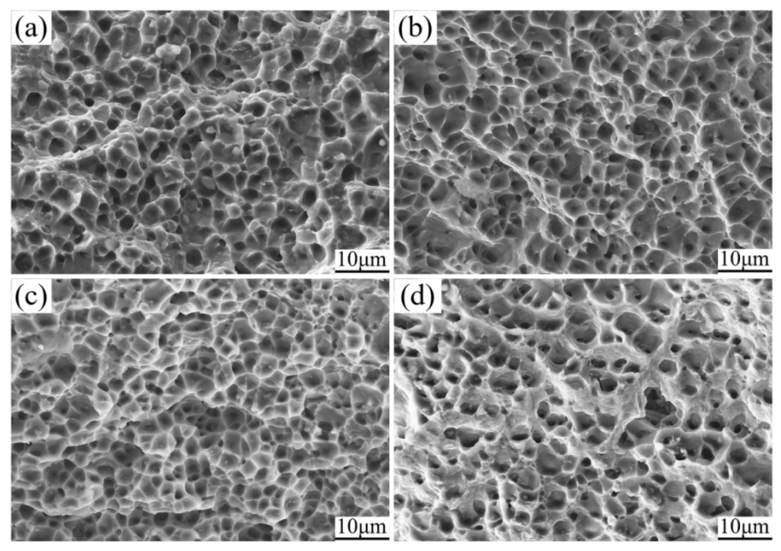 Metals 15 00116 g013