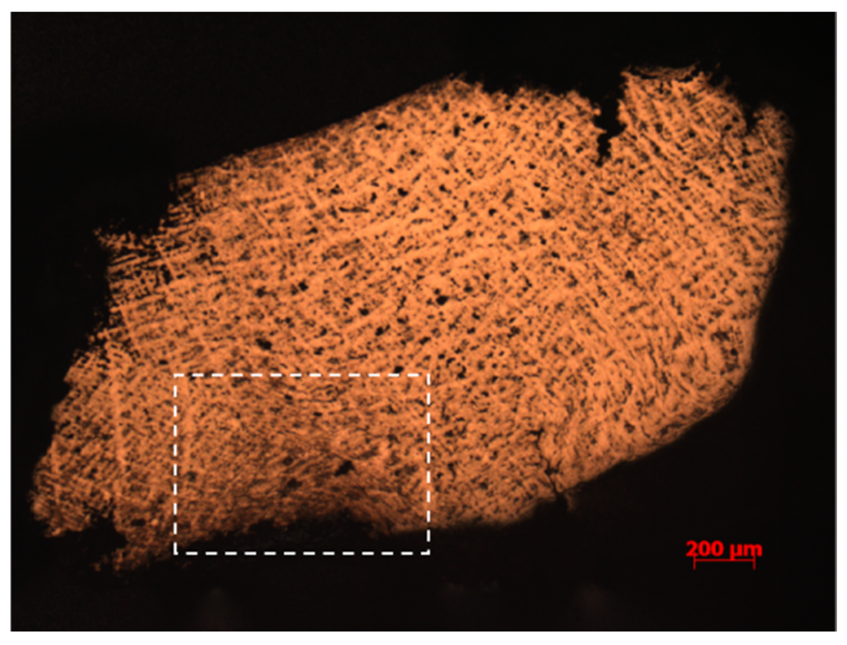 Metals 15 00209 g004