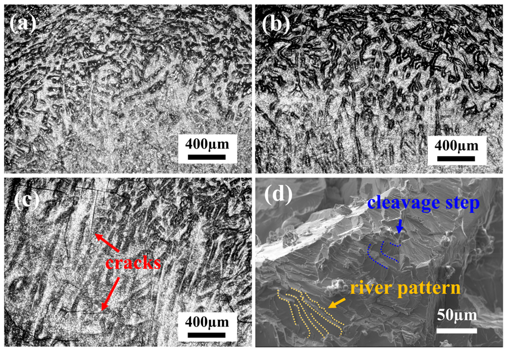 Metals 15 00250 g006