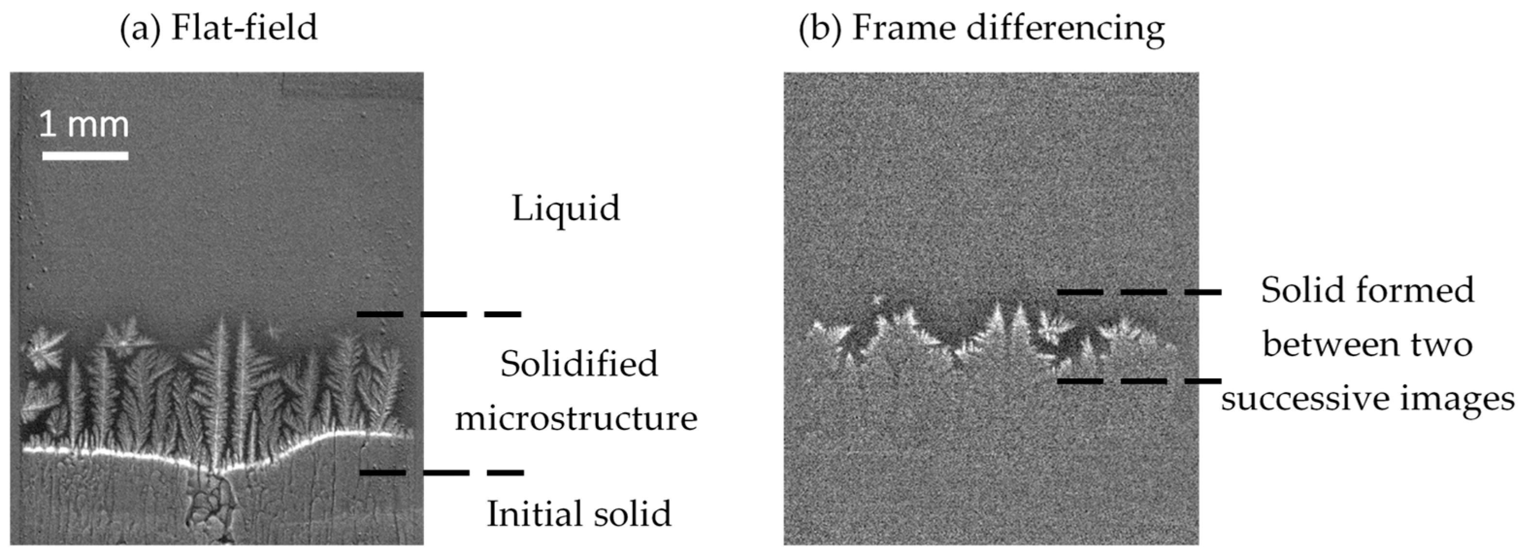 Metals 15 00296 g002