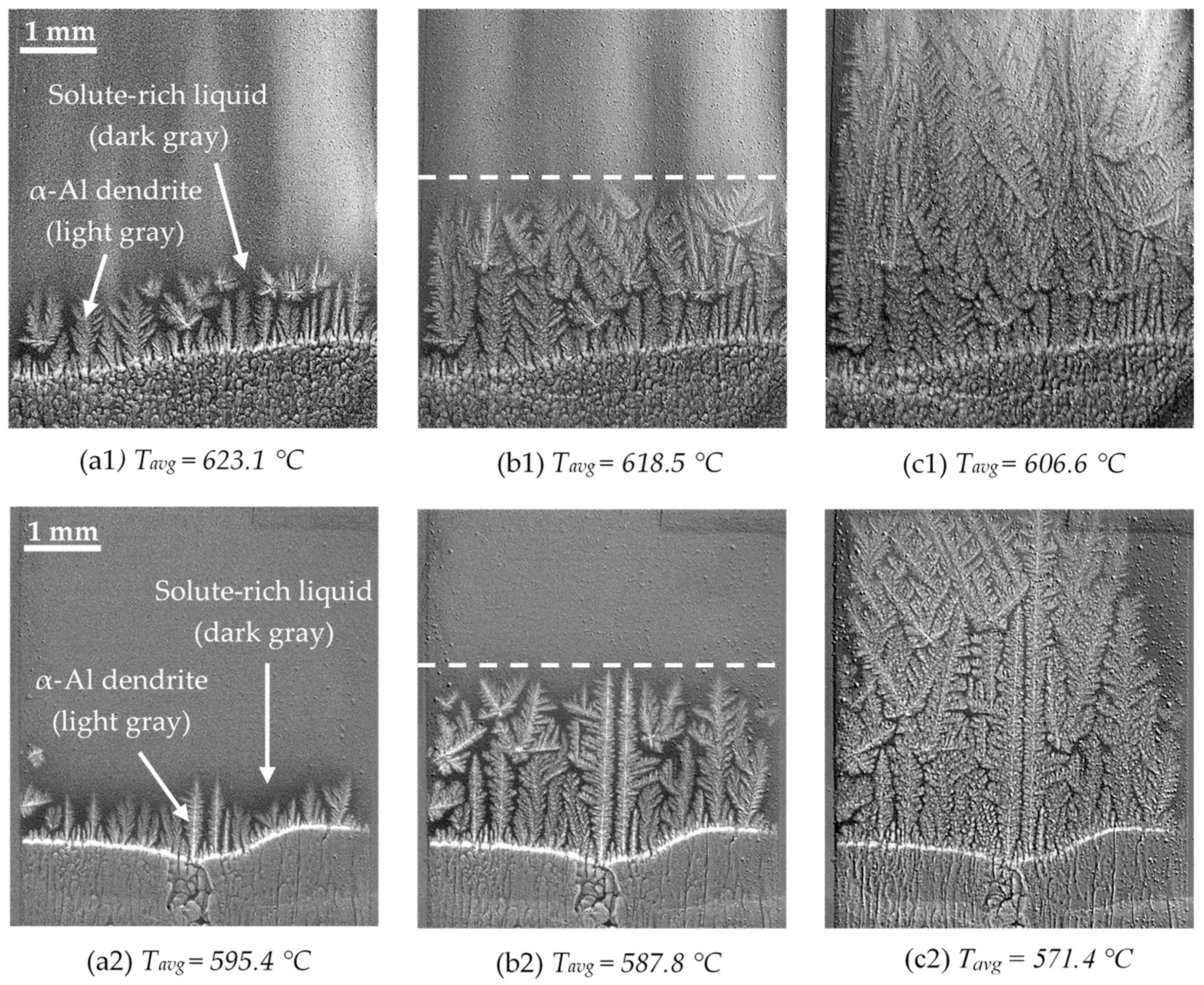 Metals 15 00296 g006