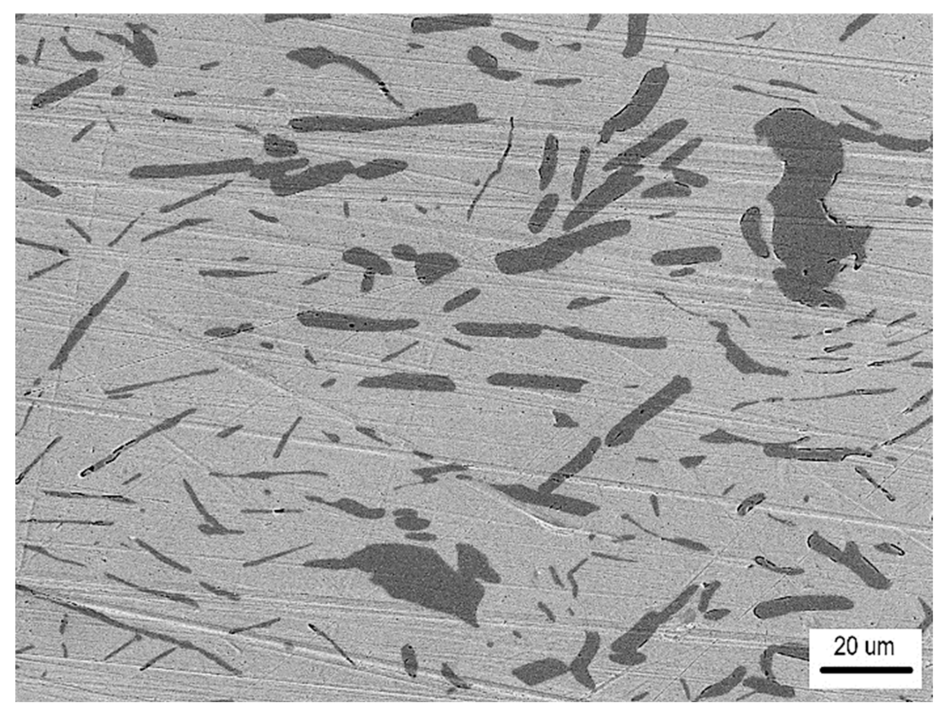 Metals 15 00306 g009