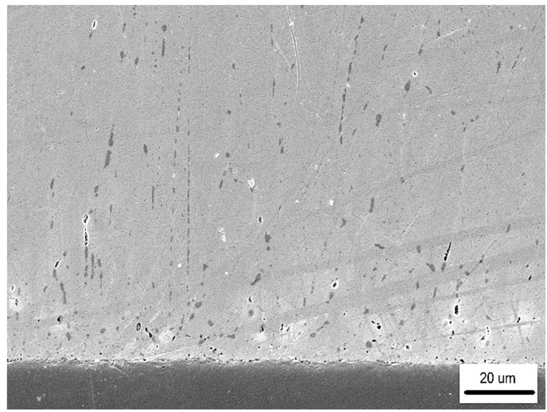 Metals 15 00306 g010