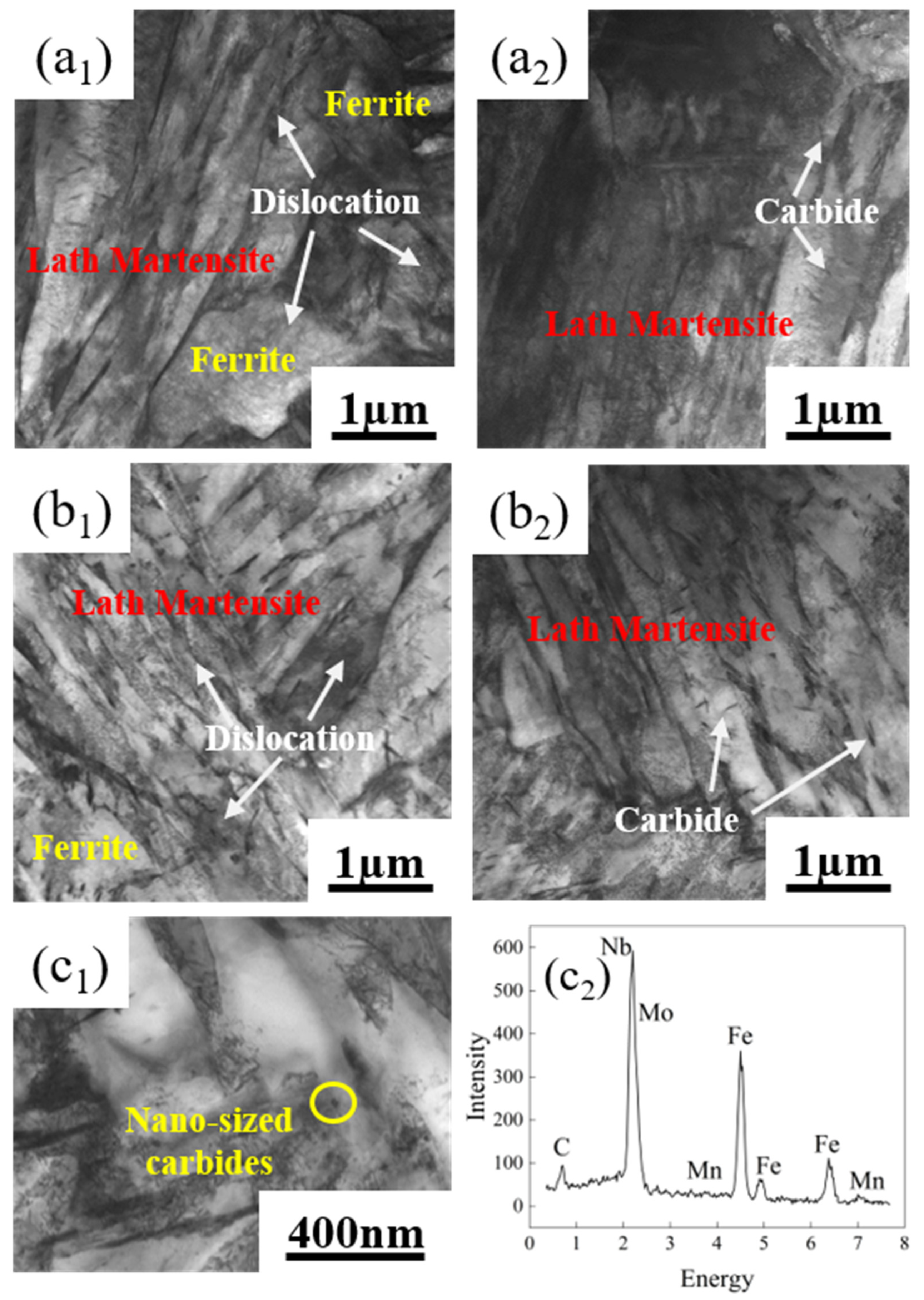 Metals 15 00310 g010