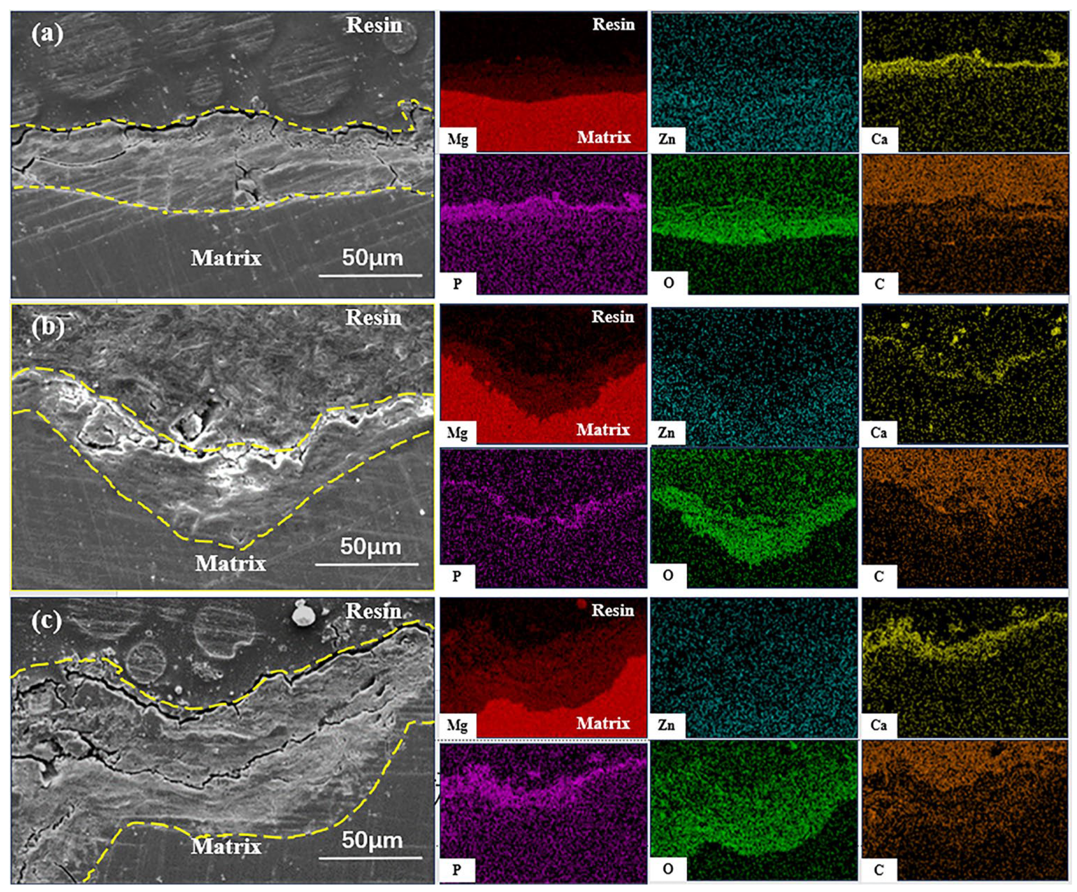Metals 15 00337 g011