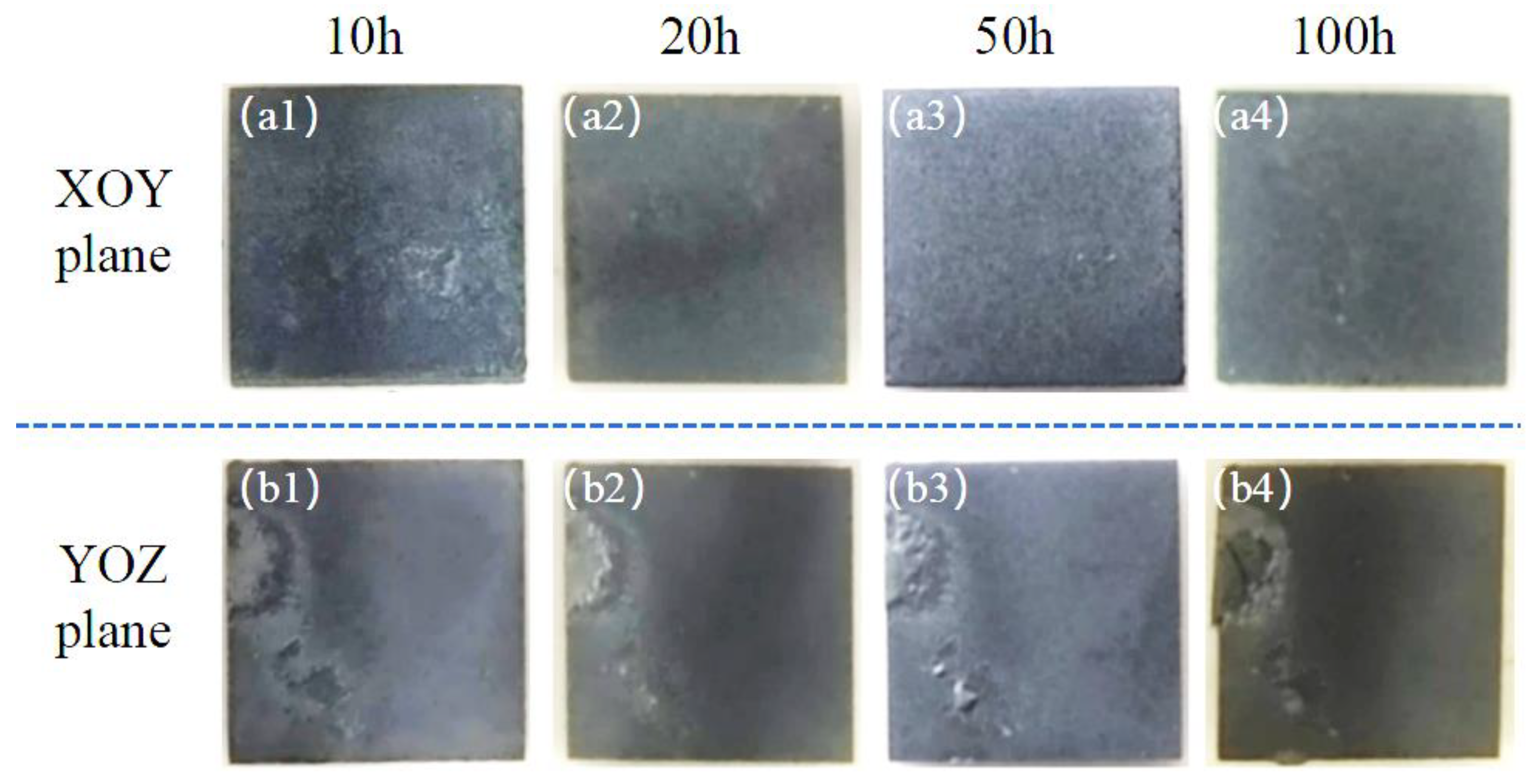 Metals 15 00338 g006