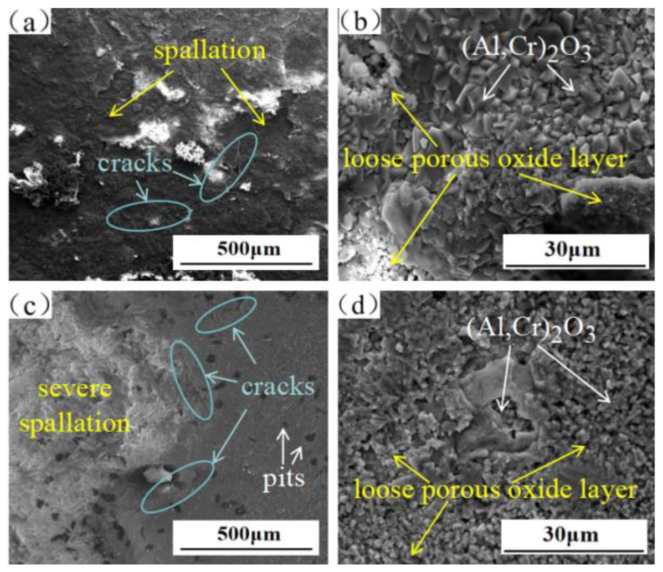 Metals 15 00338 g009